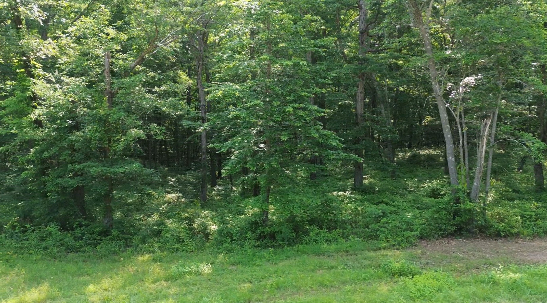 0 Owl Circle Property Photo 13