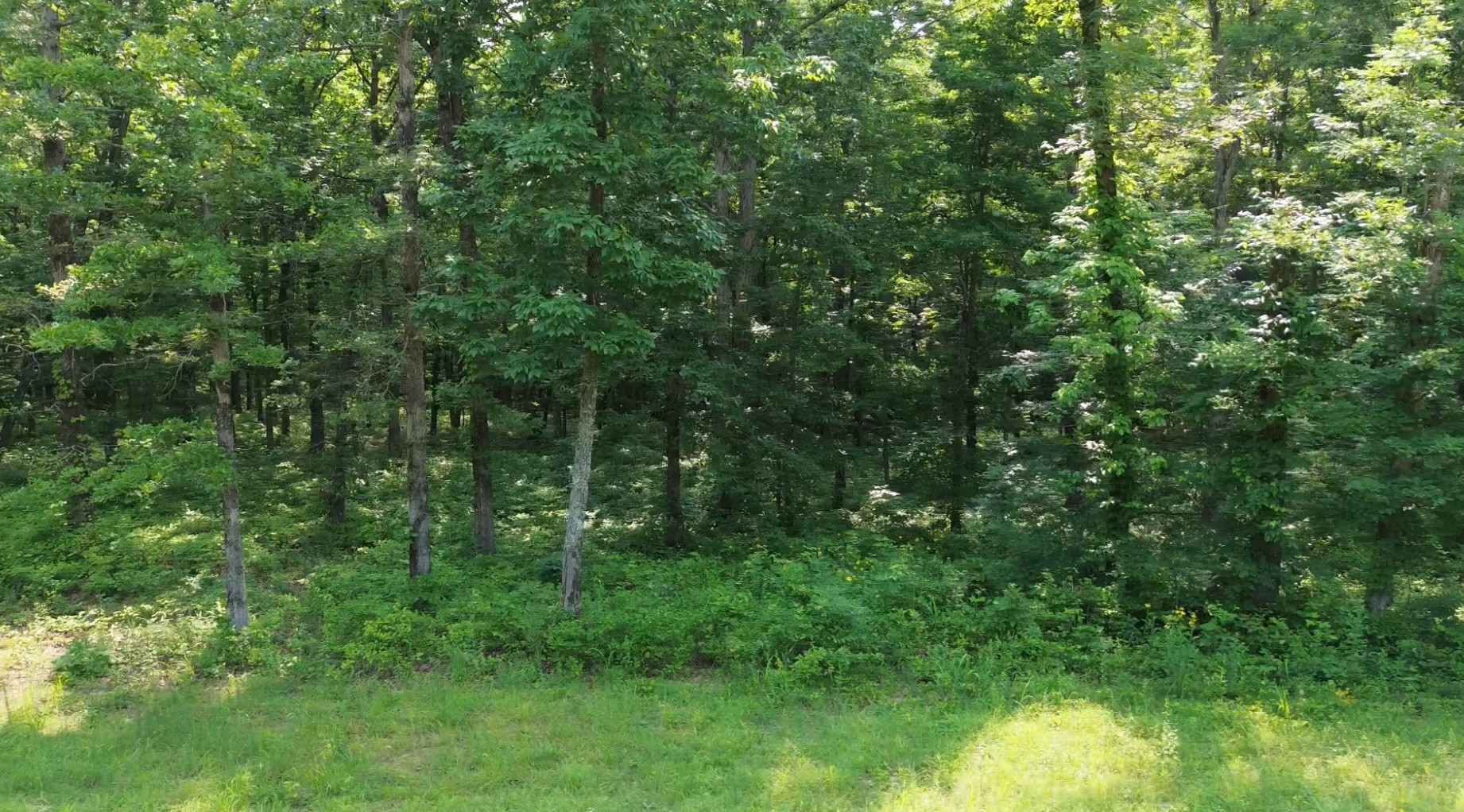 0 Owl Circle Property Photo 14