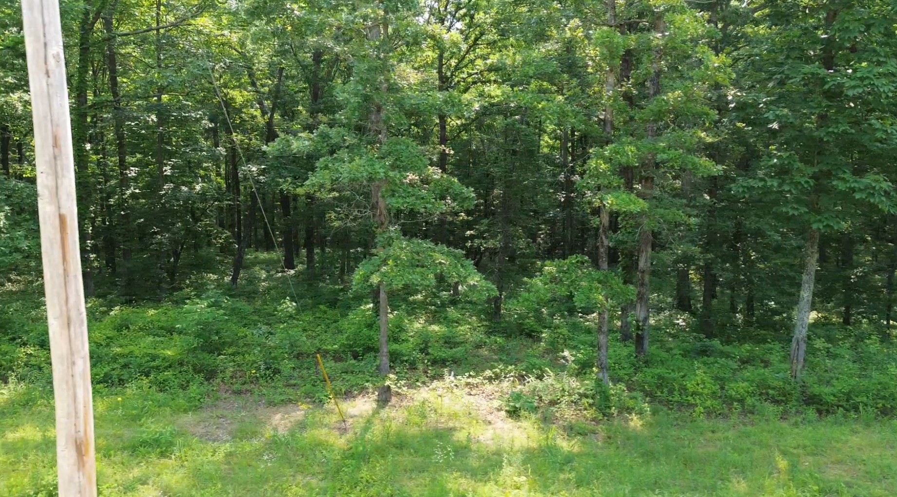 0 Owl Circle Property Photo 15