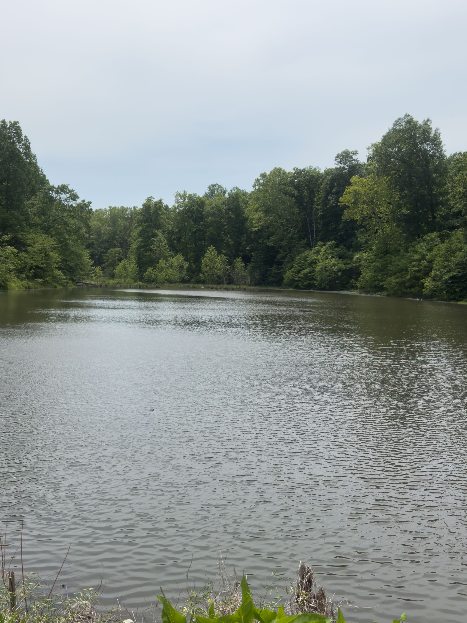 0 Owl Circle Property Photo 17