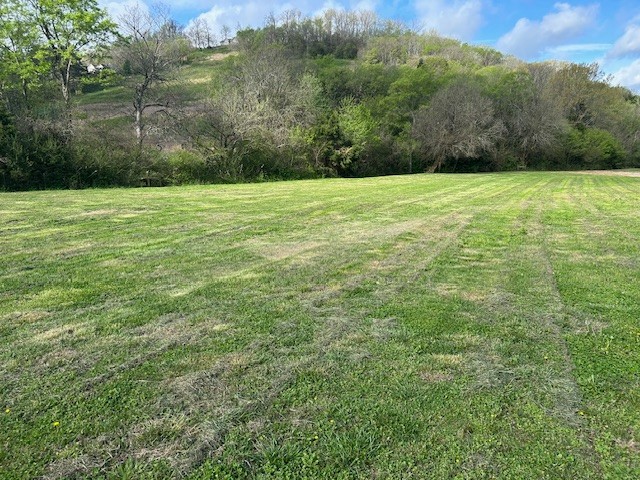 1 Flat Creek Rd Property Photo 3