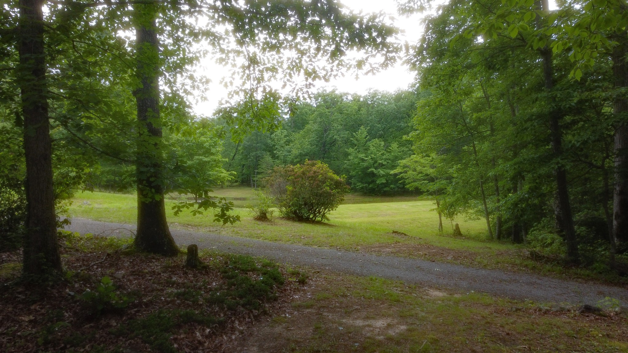 943 Old Ccc Rd Property Photo 1