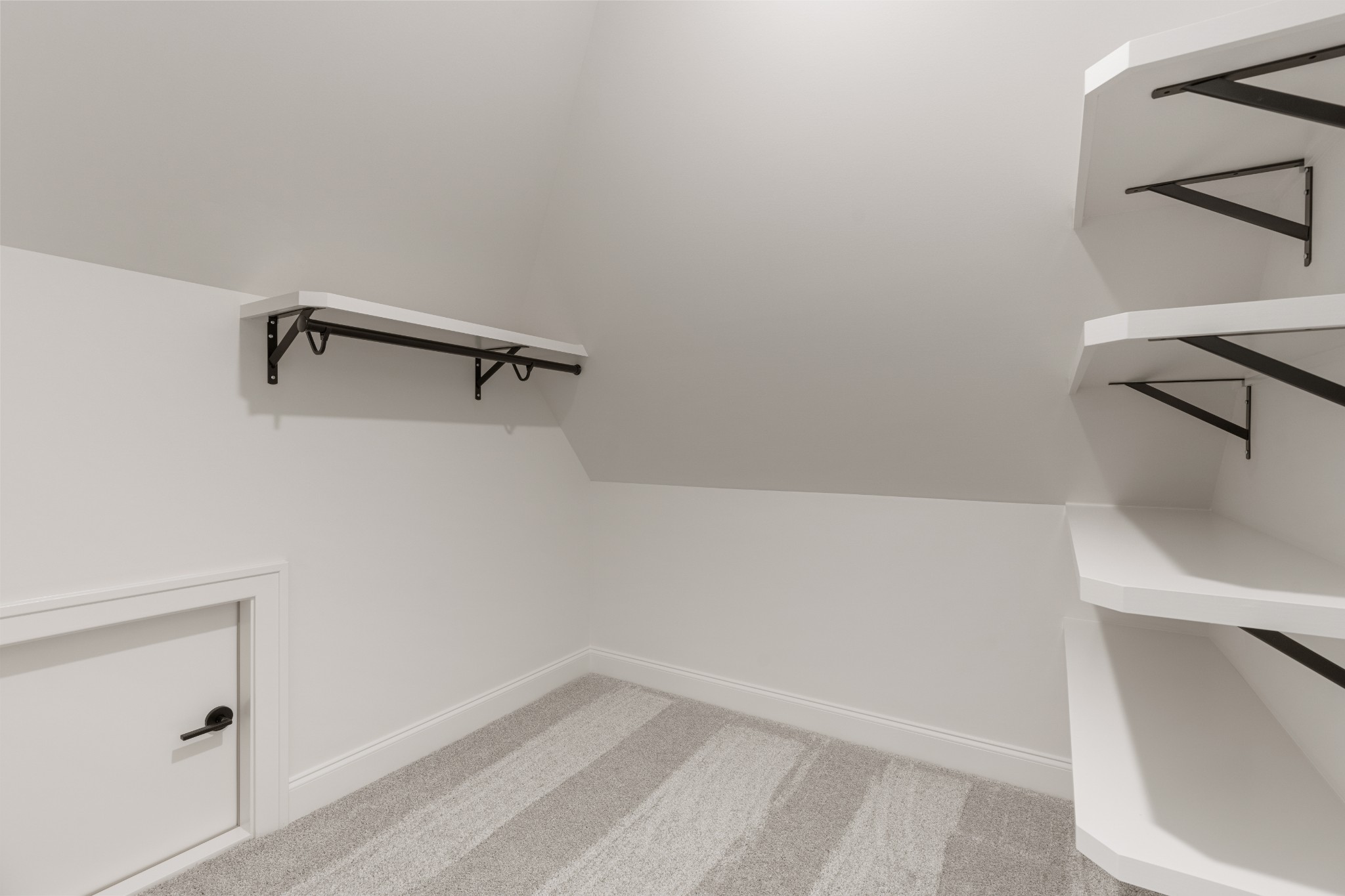 4020 Mandrake Pl #172 Property Photo 55