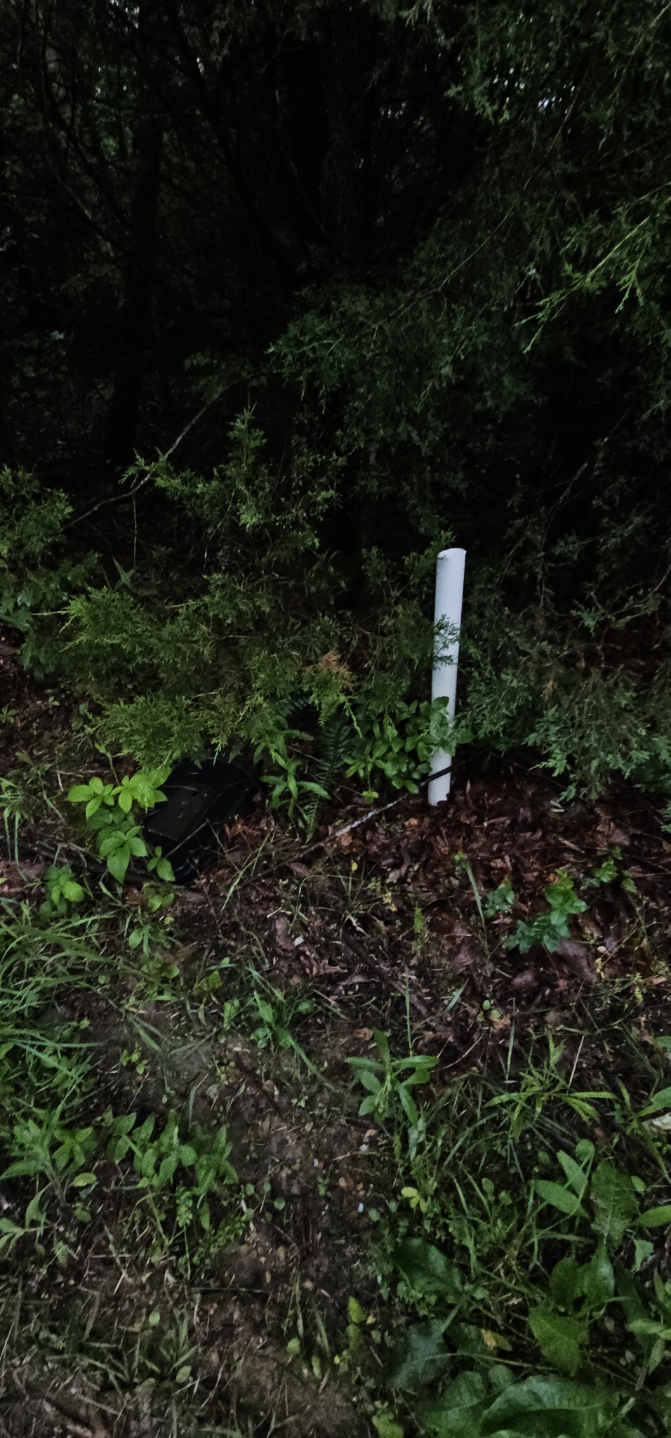 0 Browns Gap Road Property Photo 10