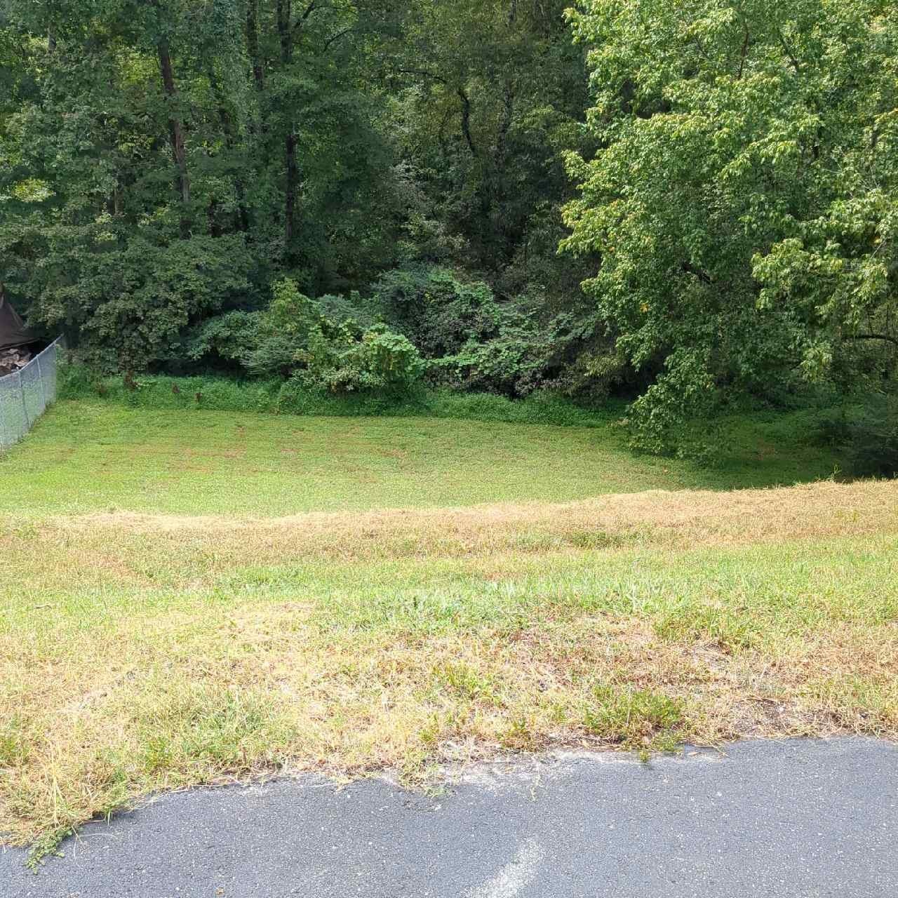 493 Westcrest Dr Property Photo 14