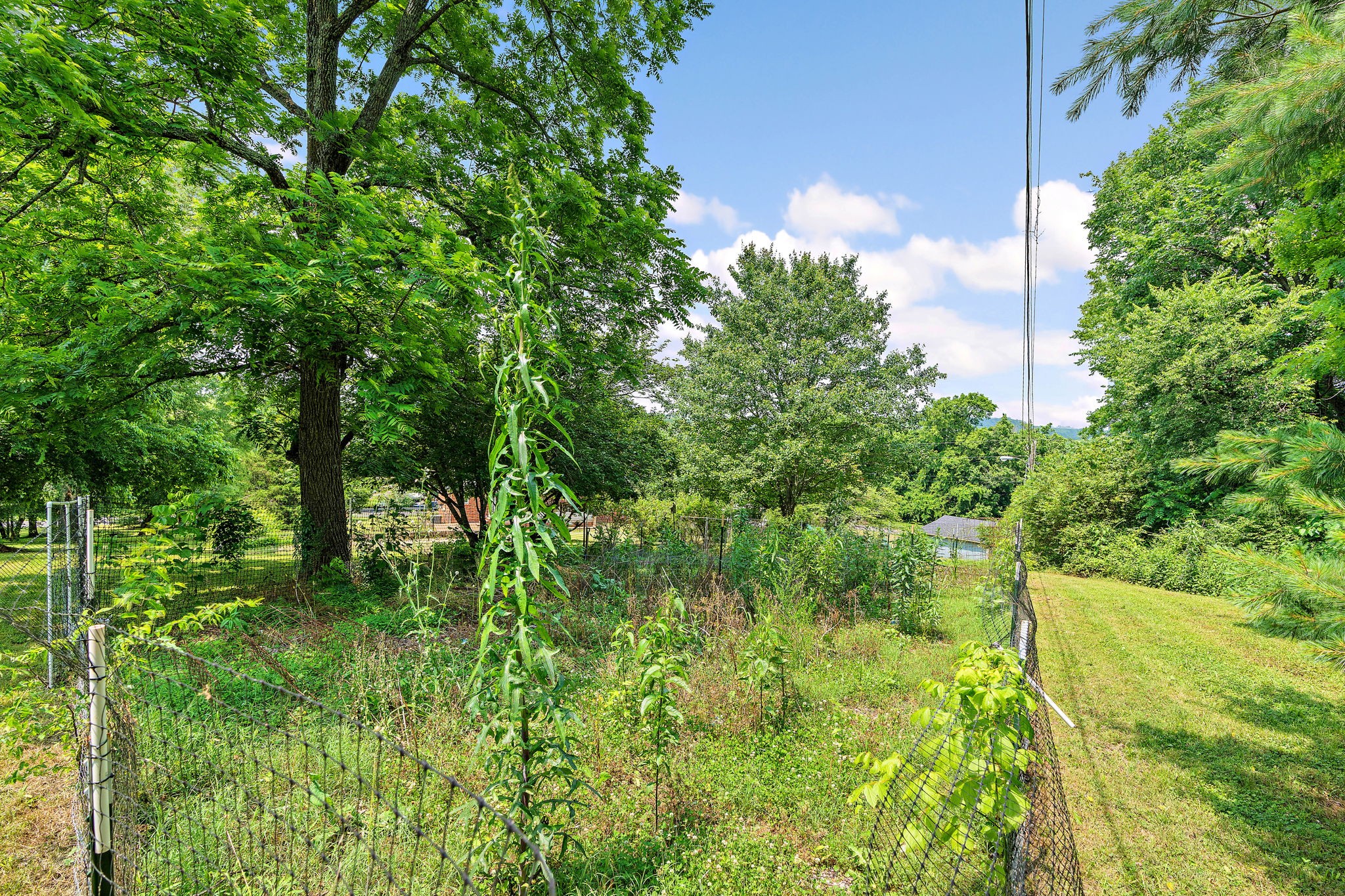 2952 Carters Creek Station Rd Property Photo 57