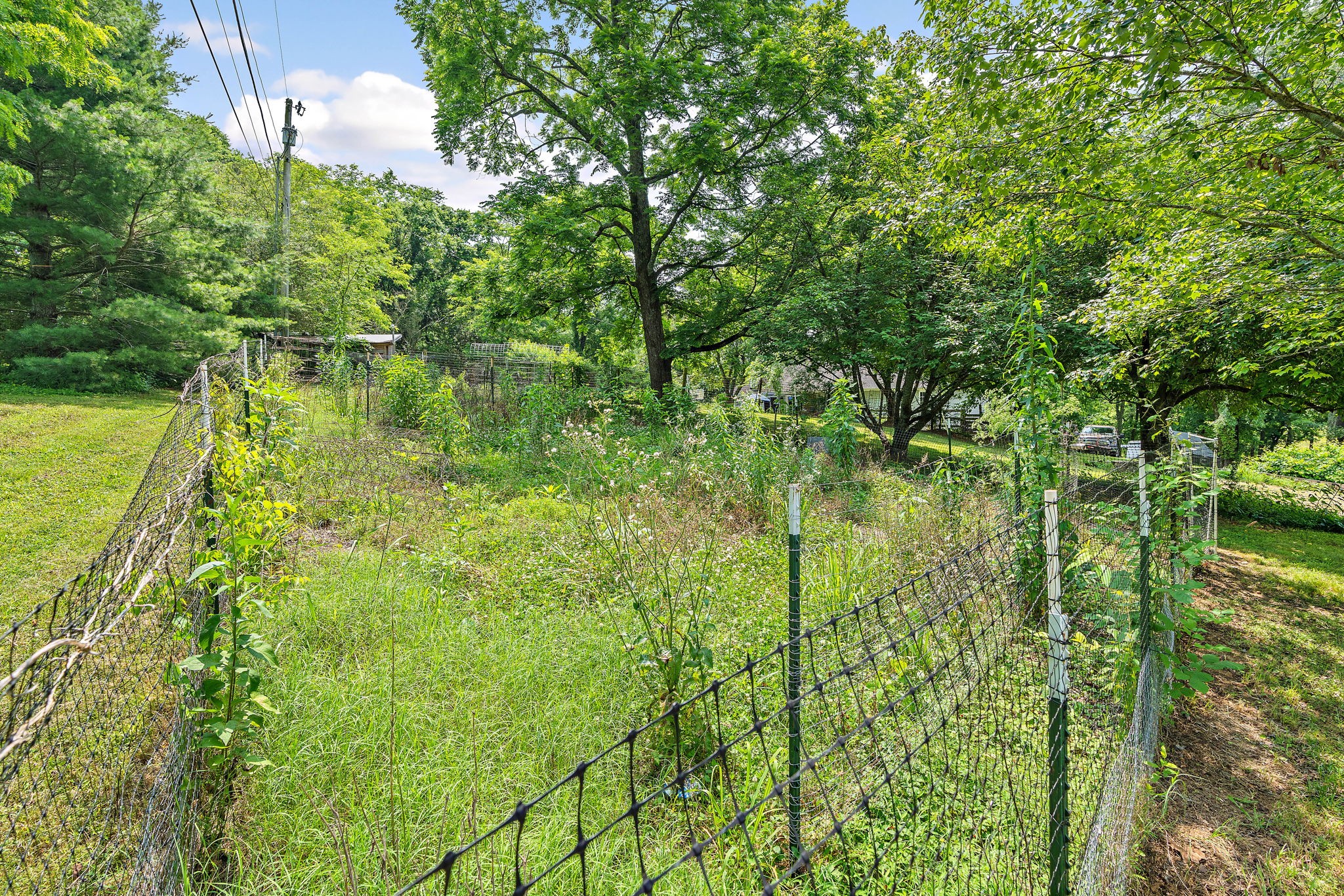2952 Carters Creek Station Rd Property Photo 58