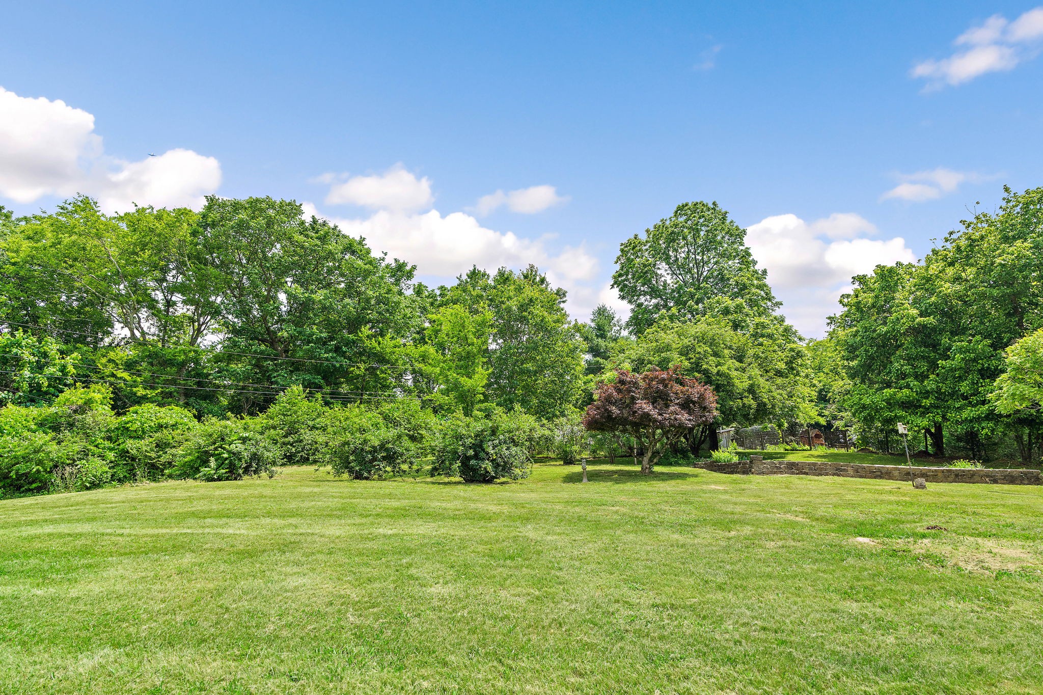 2952 Carters Creek Station Rd Property Photo 62