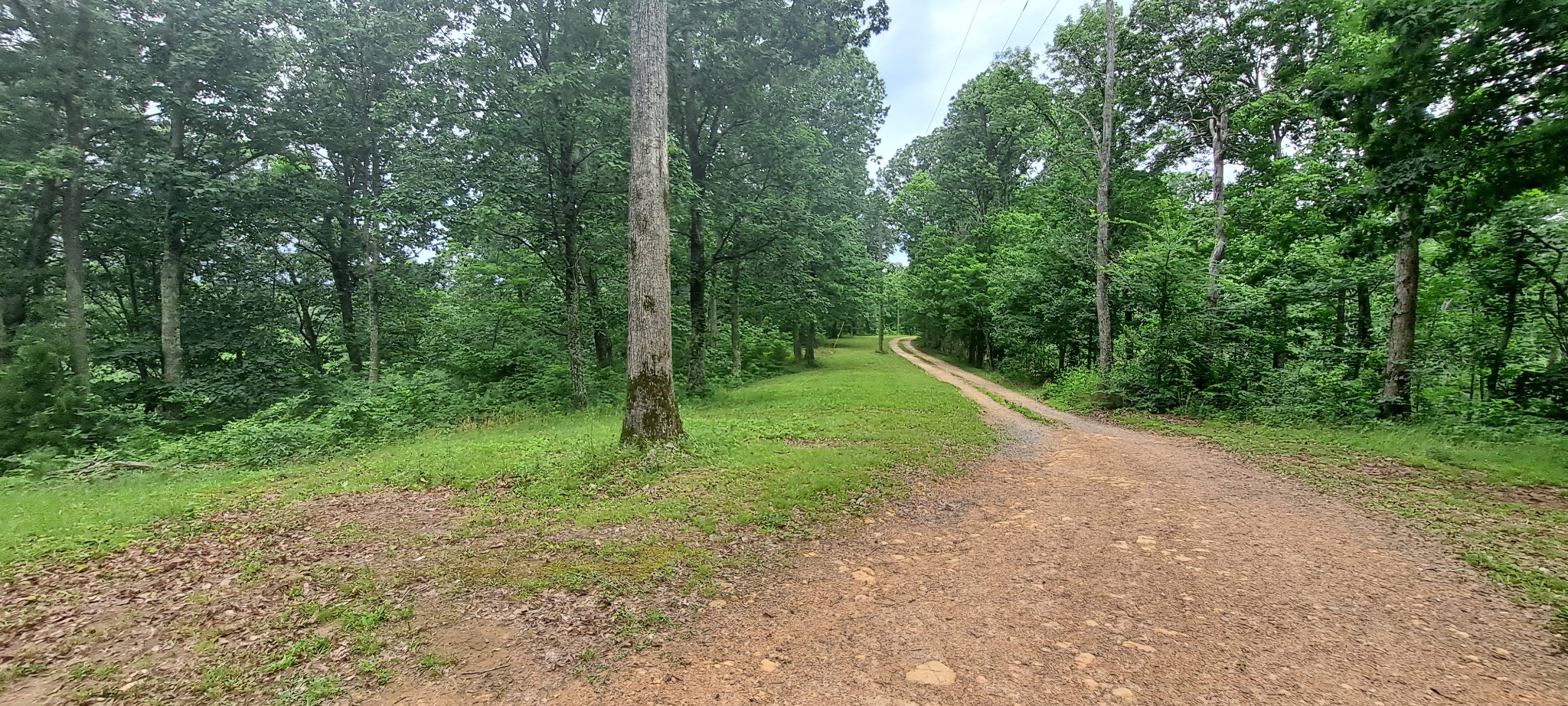 1027 Garland Hollow Rd Property Photo 33