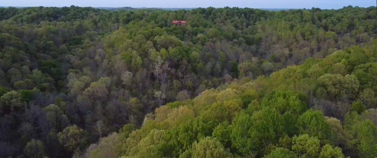 1027 Garland Hollow Rd Property Photo 38