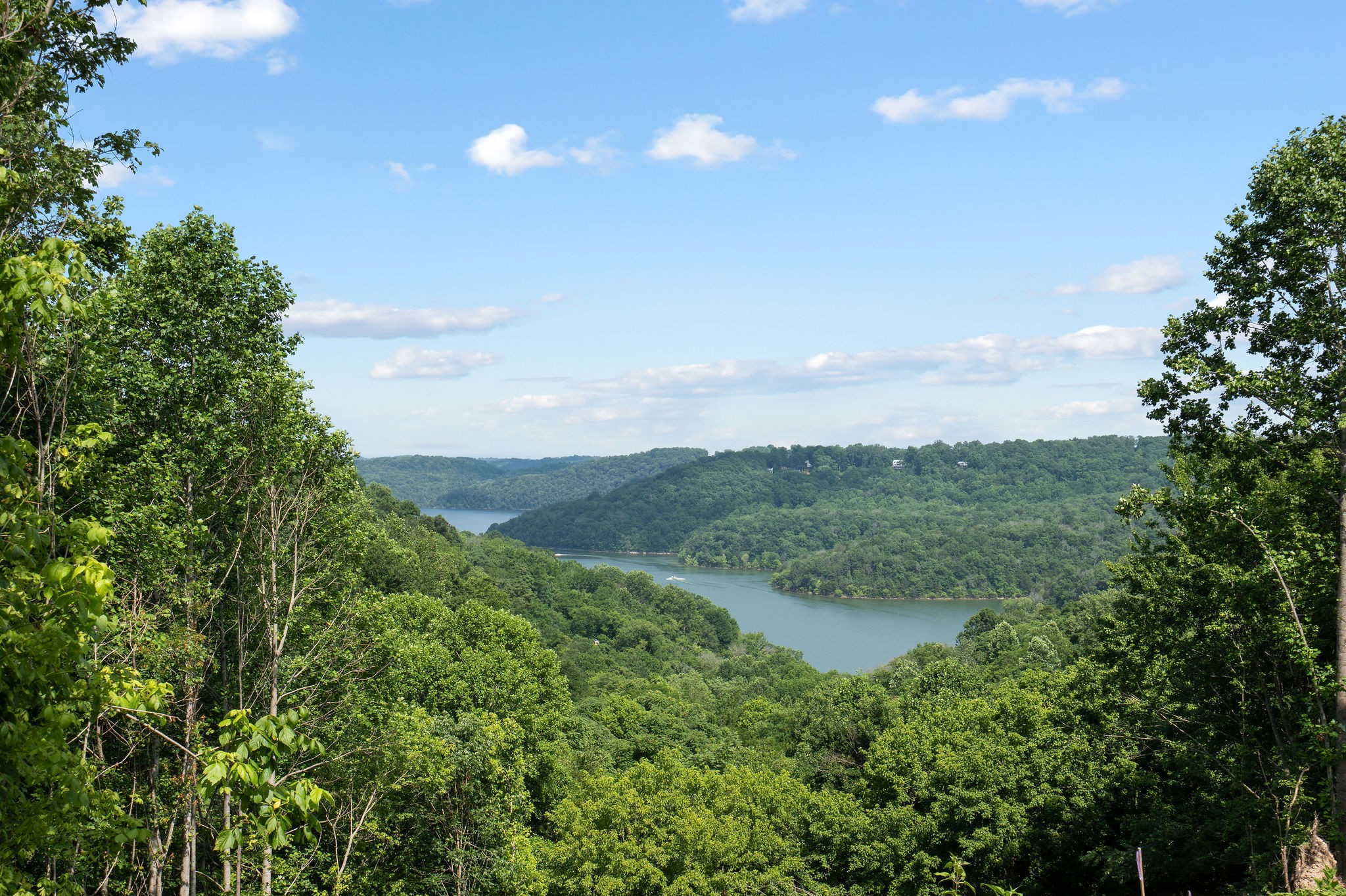 921 Blackberry Ridge Way Property Photo 43