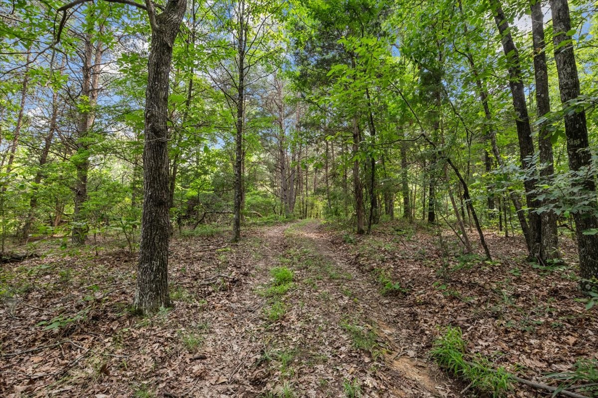 0 Bear Creek Road Property Photo 2