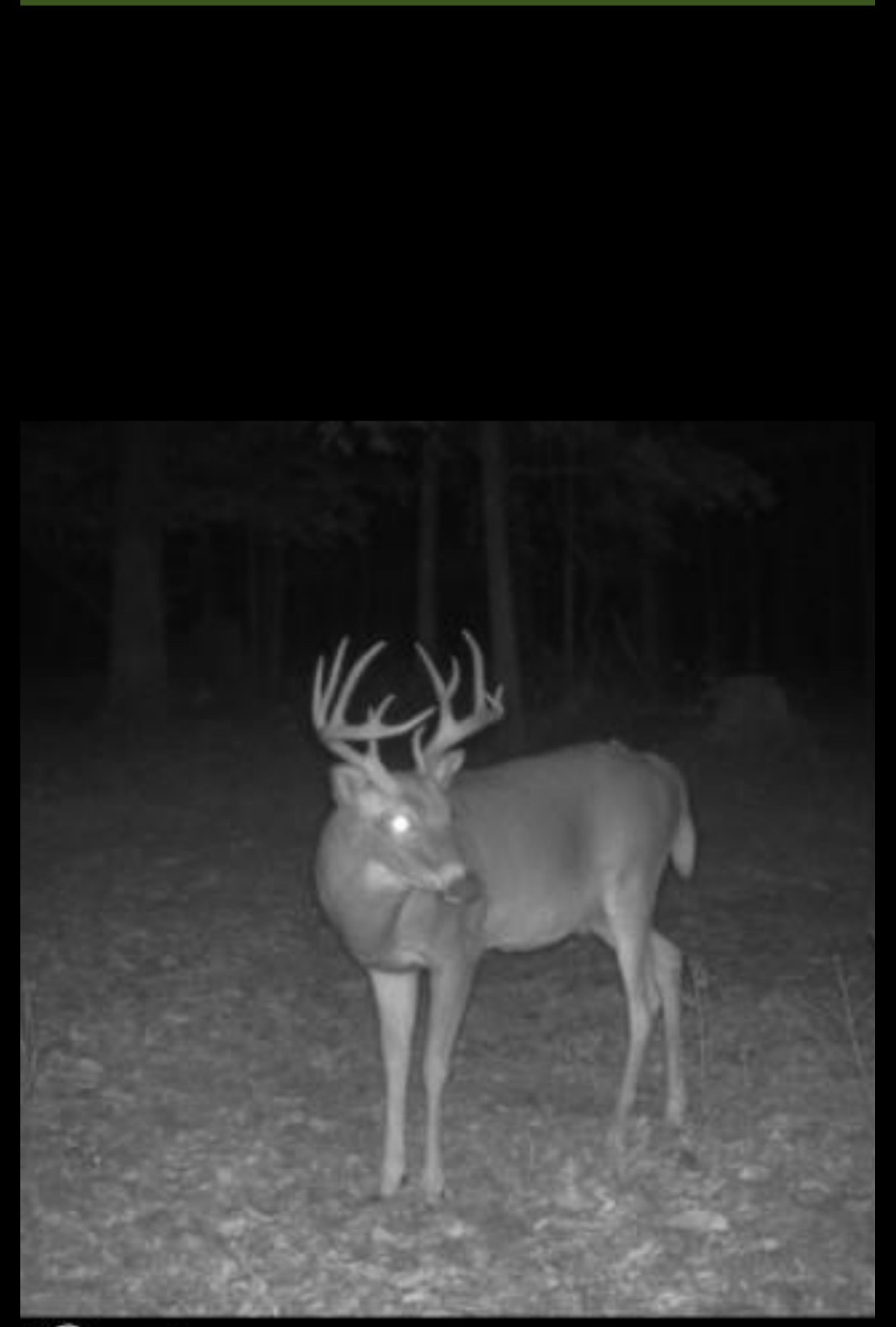 0 Bear Creek Road Property Photo 3