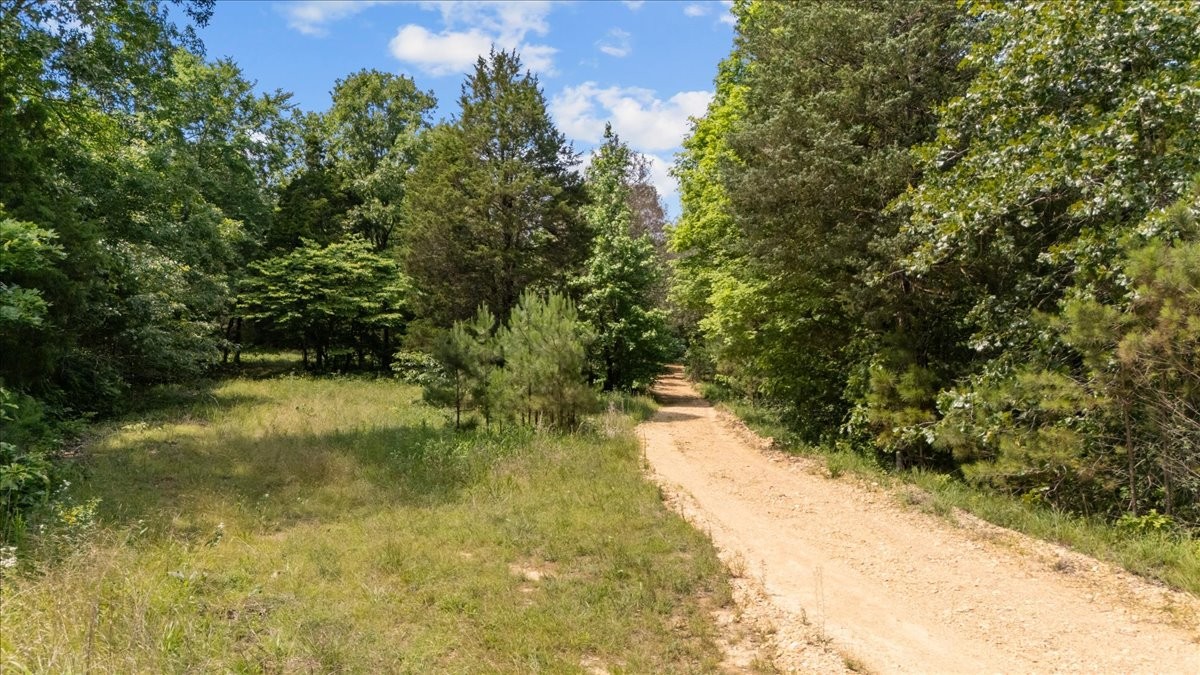 0 Bear Creek Road Property Photo 4