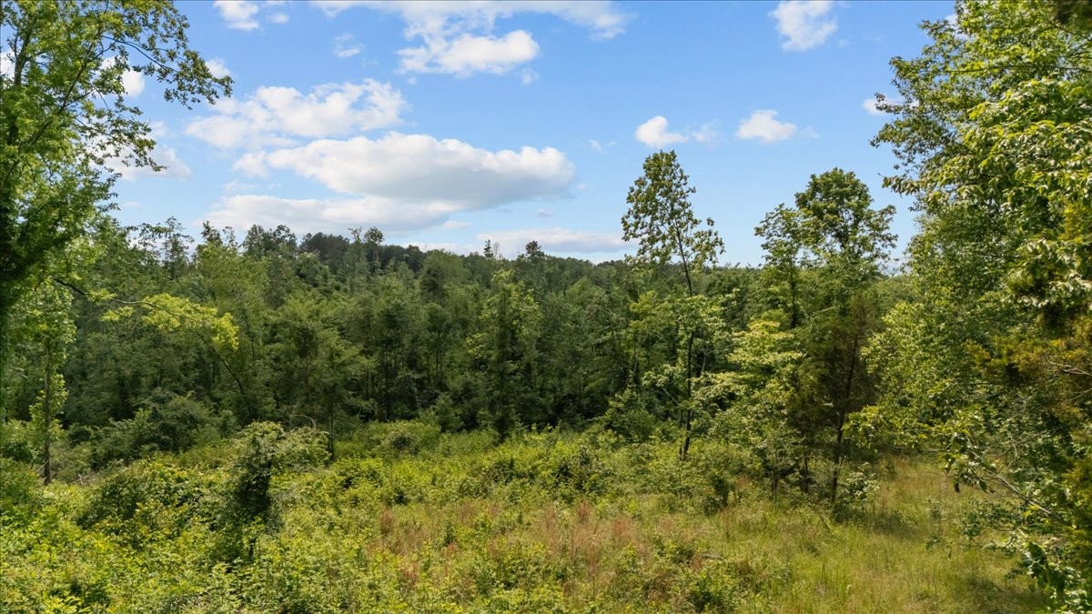 0 Bear Creek Road Property Photo 6