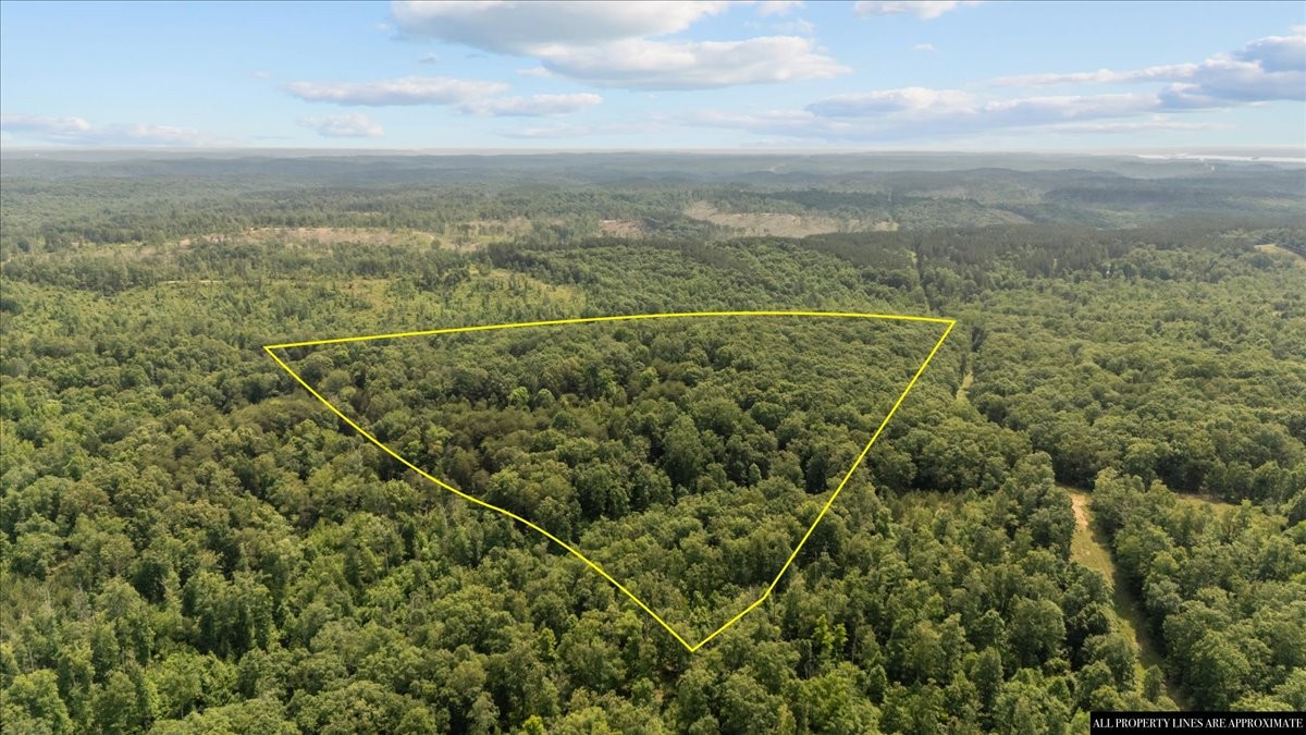 0 Bear Creek Road Property Photo 8