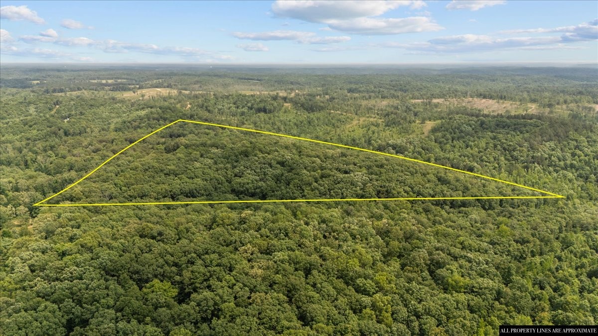 0 Bear Creek Road Property Photo 12