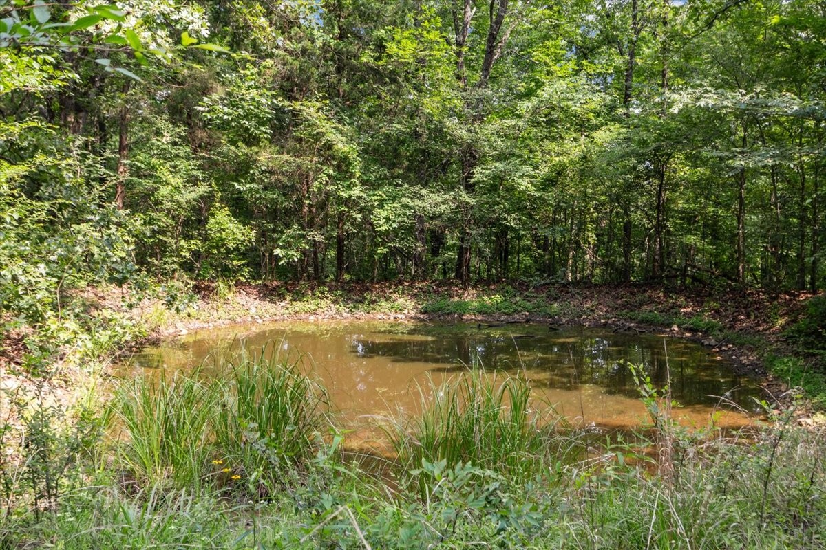 0 Bear Creek Road Property Photo 13