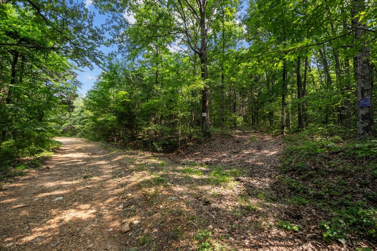 0 Bear Creek Road Property Photo 15