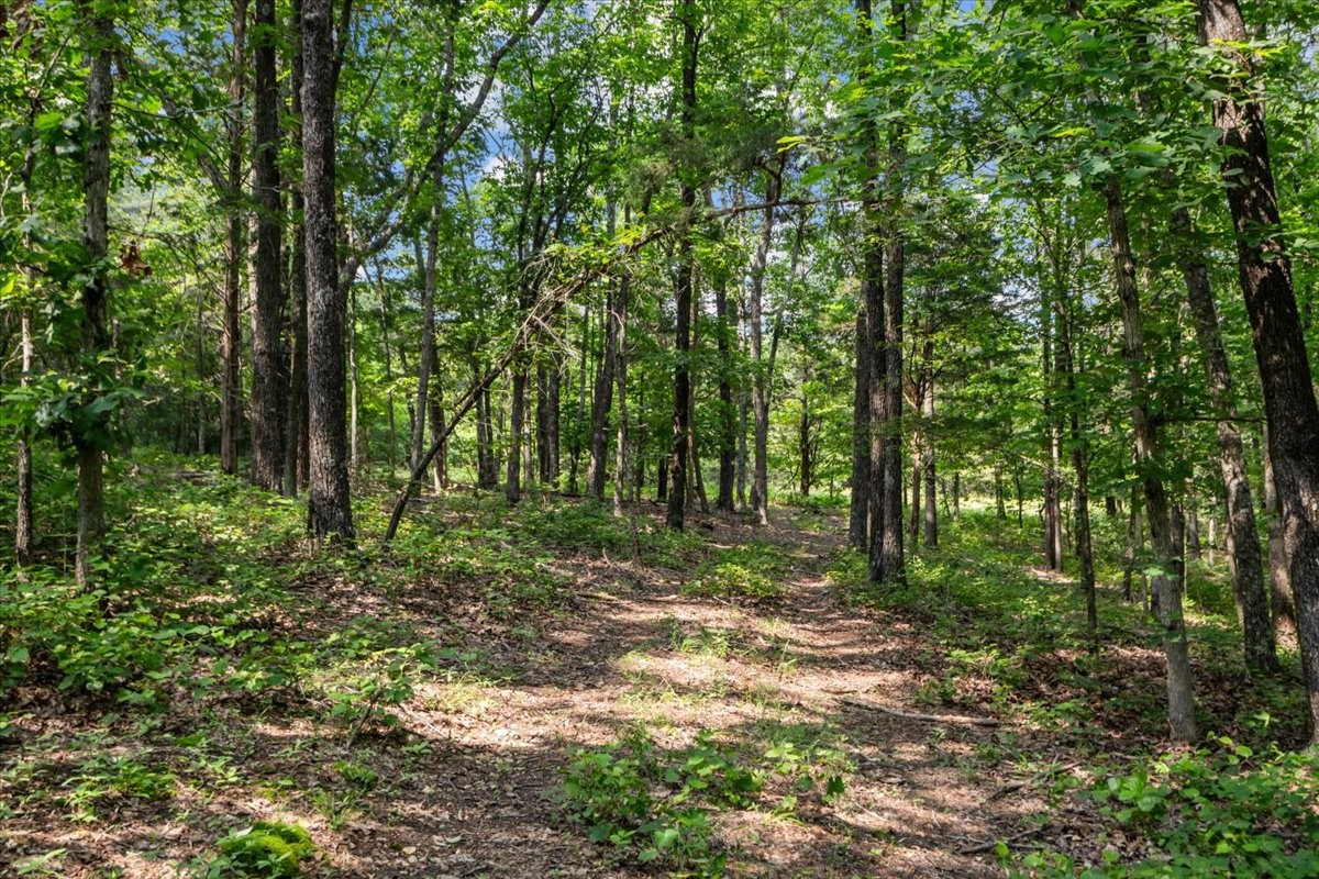 0 Bear Creek Road Property Photo 17