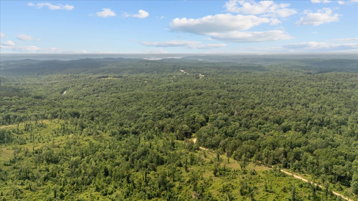 0 Bear Creek Road Property Photo 18