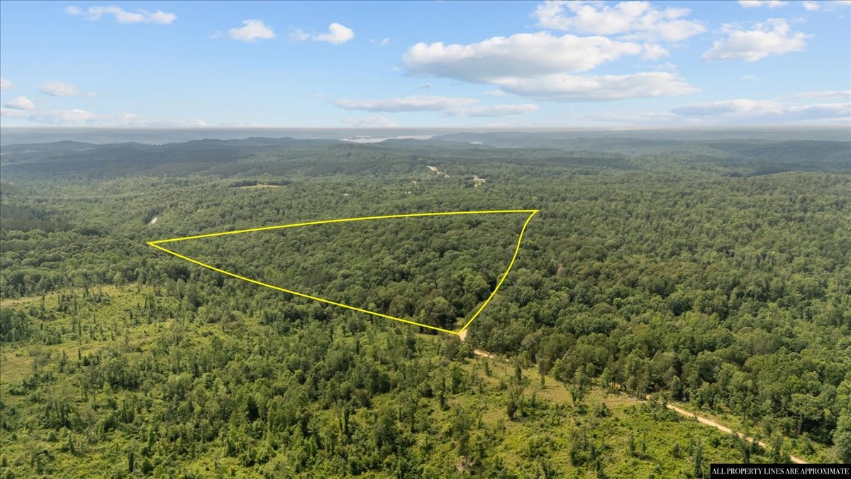 0 Bear Creek Road Property Photo 19