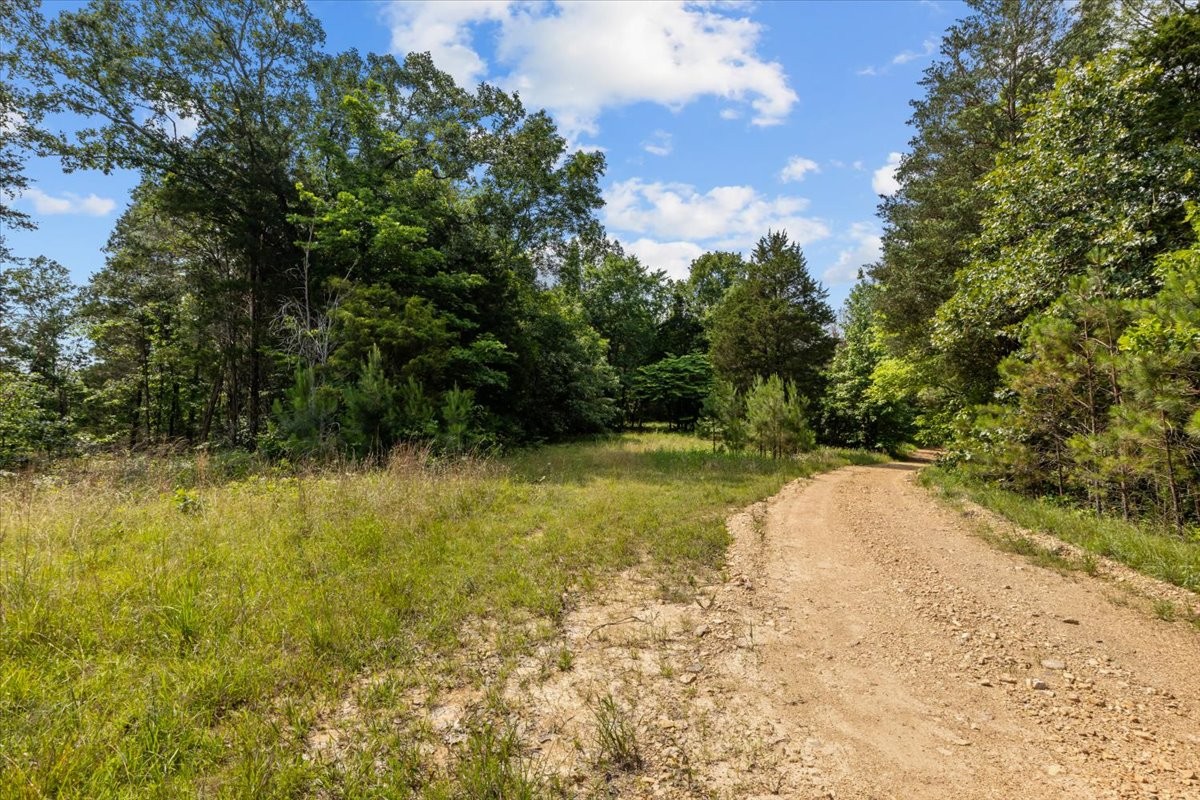 0 Bear Creek Road Property Photo 25