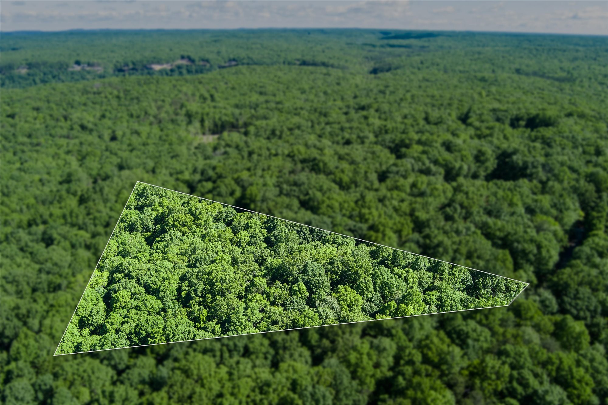0 Yellow Creek Road Property Photo 1