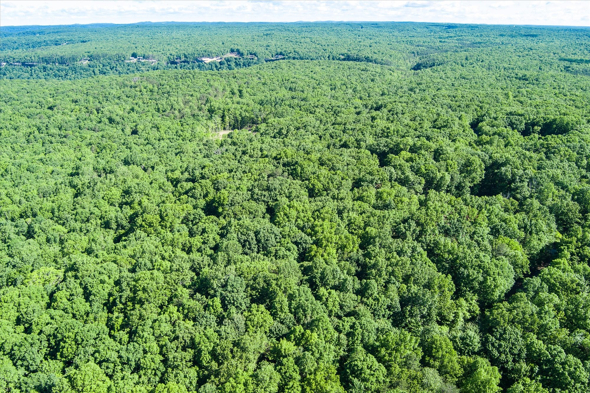 0 Yellow Creek Road Property Photo 3