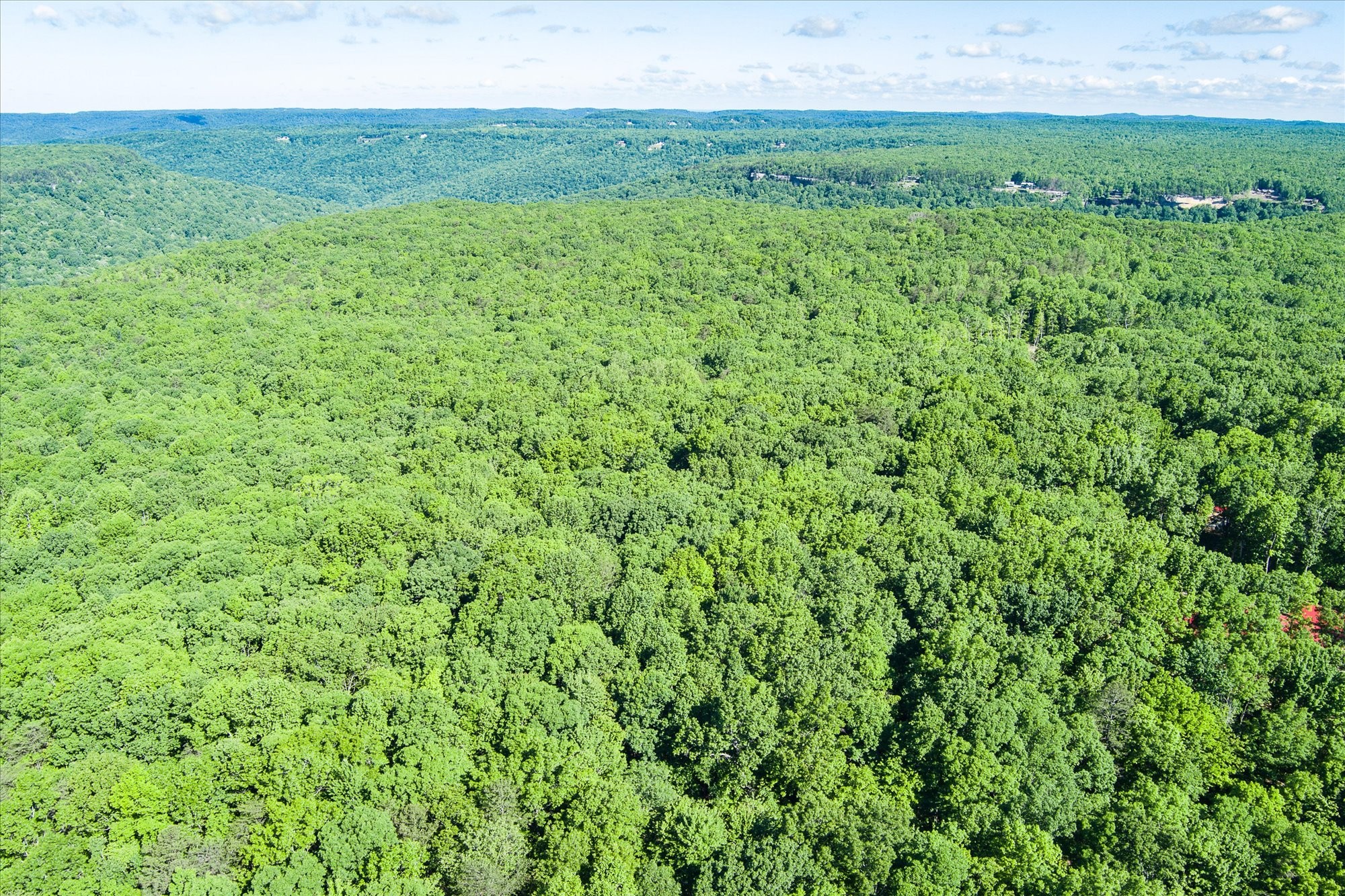0 Yellow Creek Road Property Photo 4