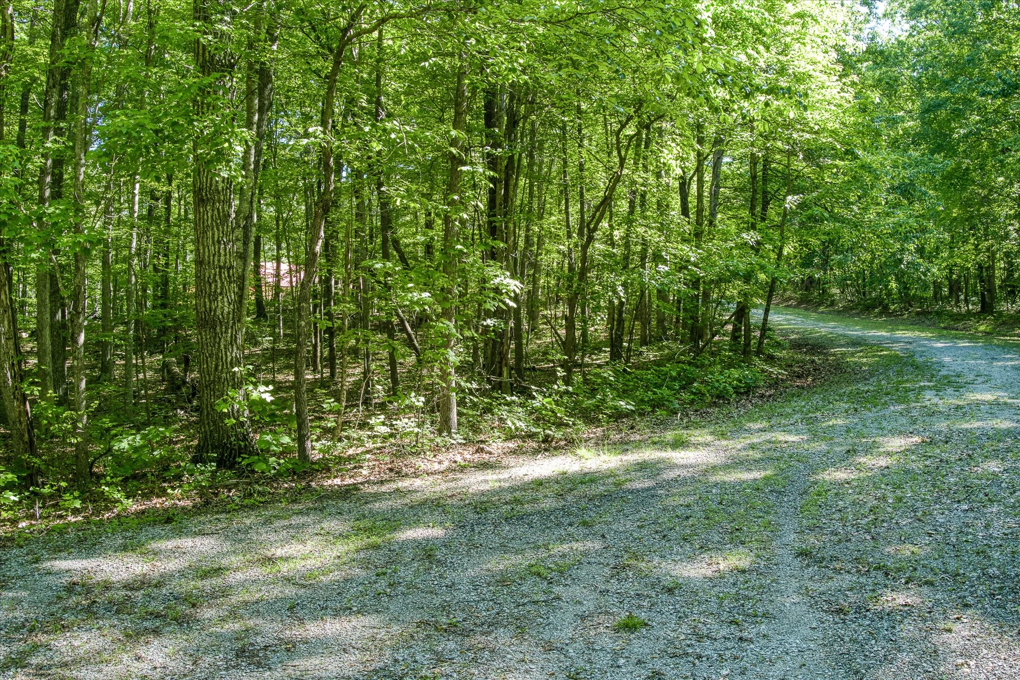 0 Yellow Creek Road Property Photo 6