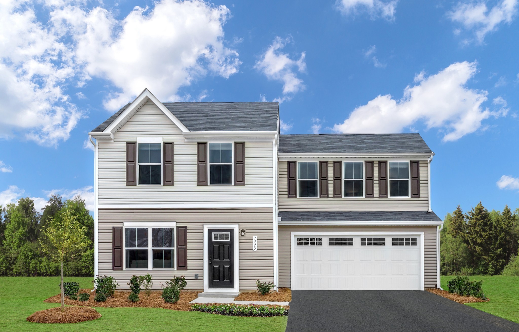 5072 Snow Owl Court Property Photo 1