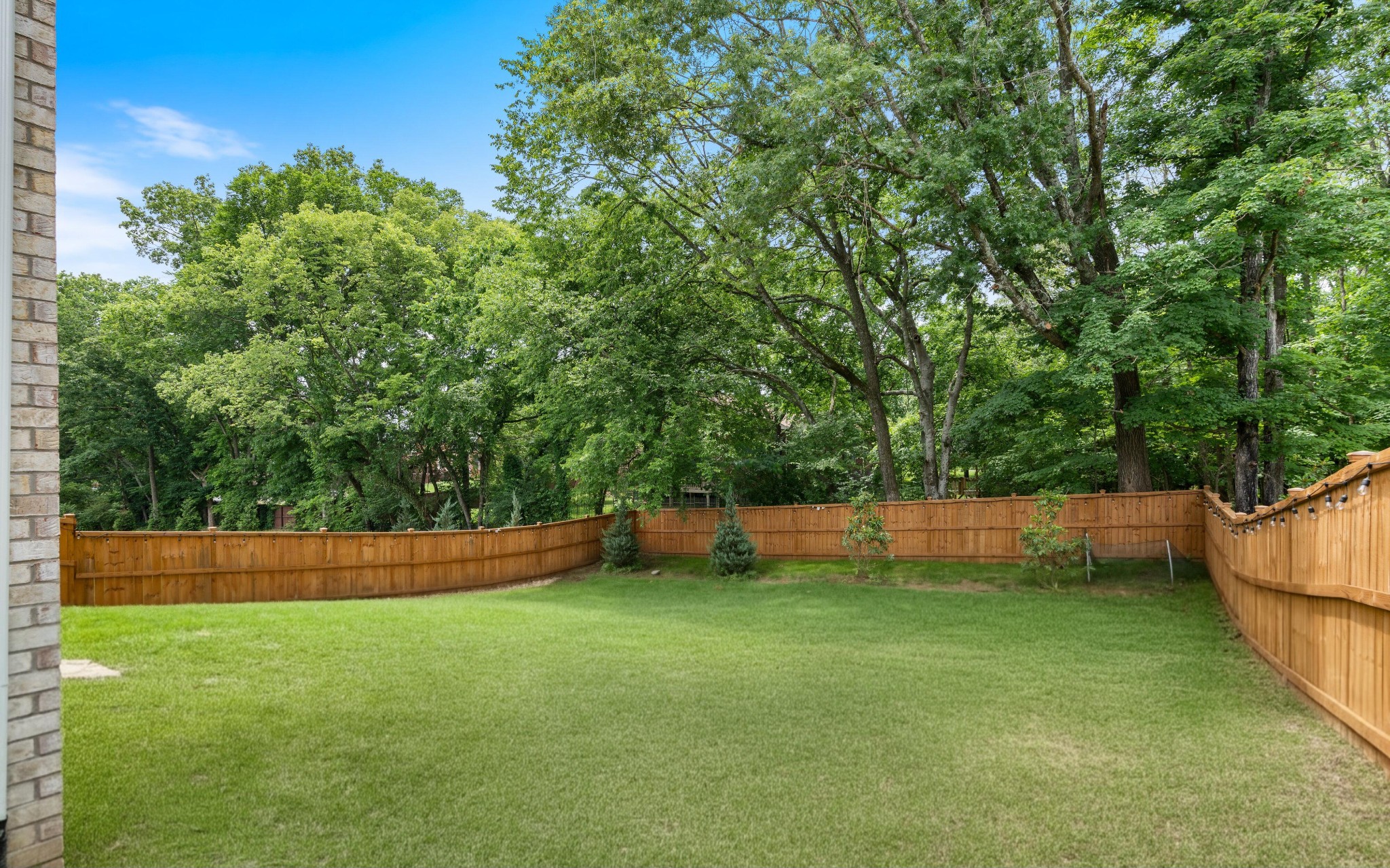543 Gingerwood Ln Property Photo 42