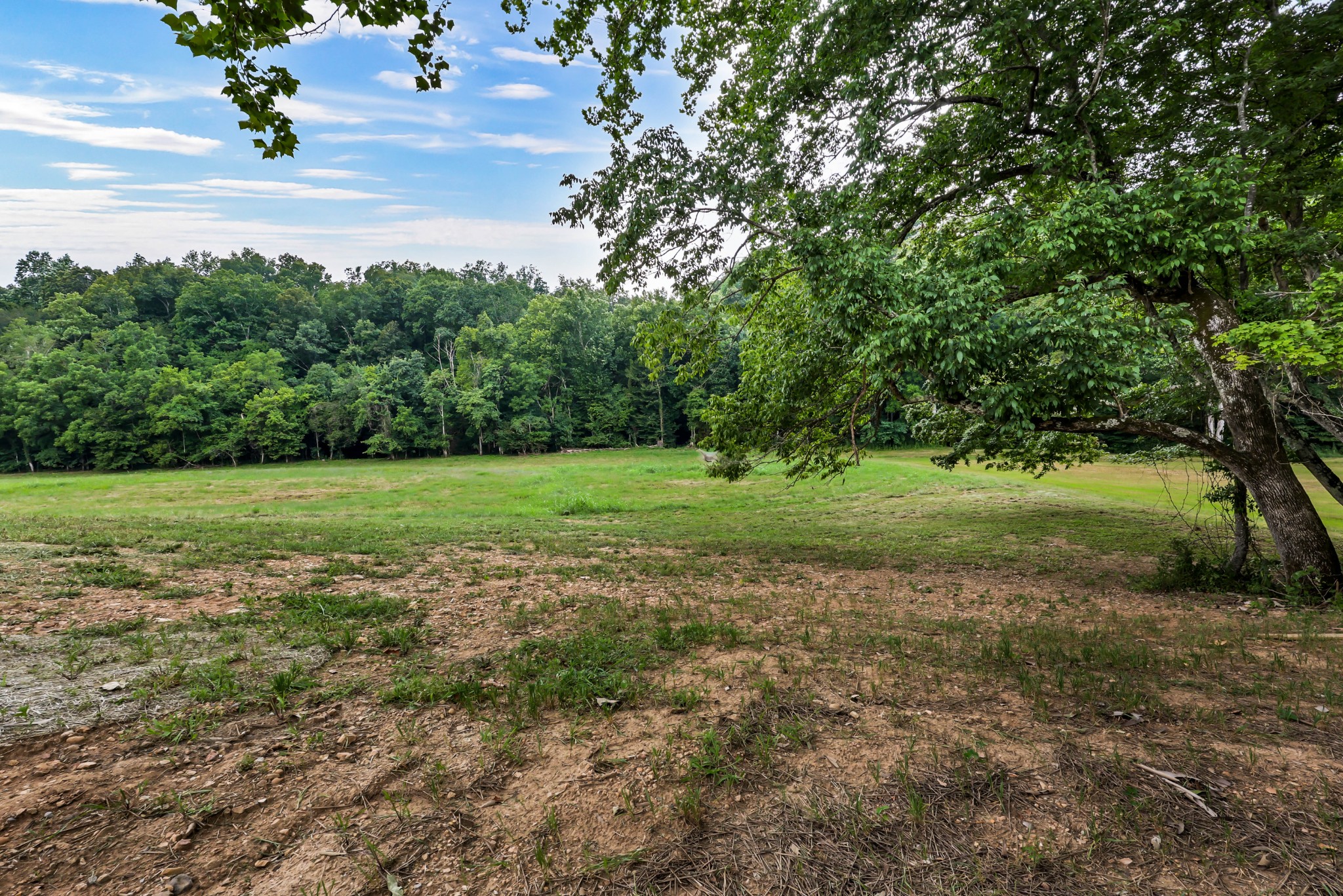 5570 Chambers Rd Property Photo 45