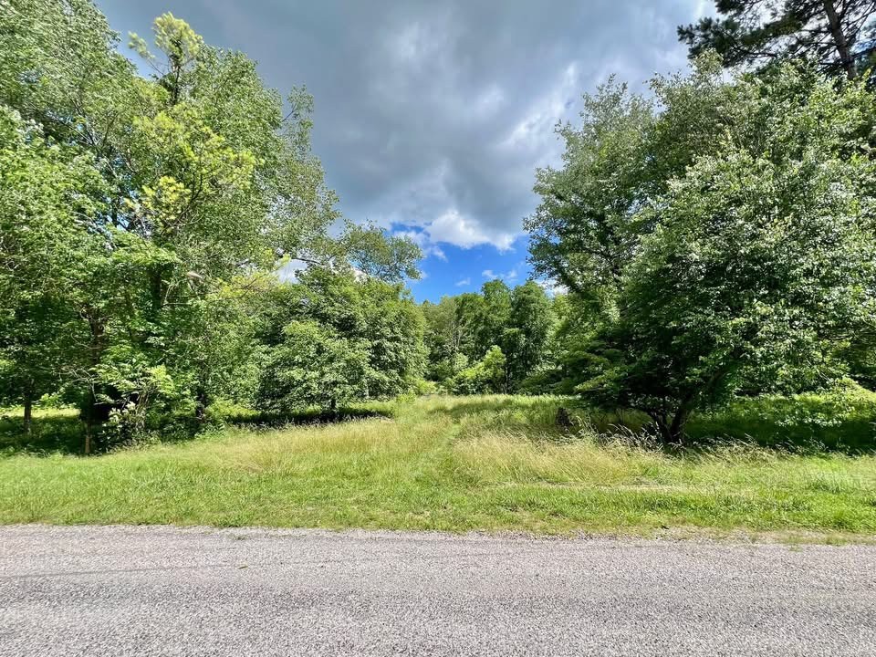 0 Powdermill Branch Rd Property Photo 2