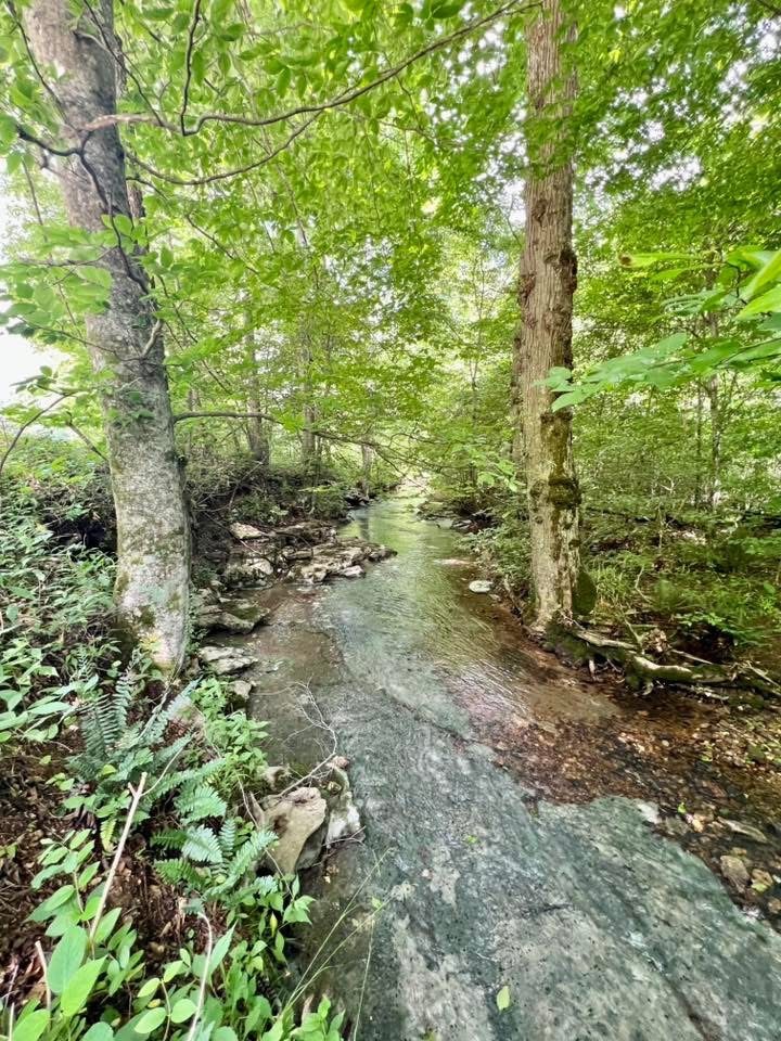 0 Powdermill Branch Rd Property Photo 3