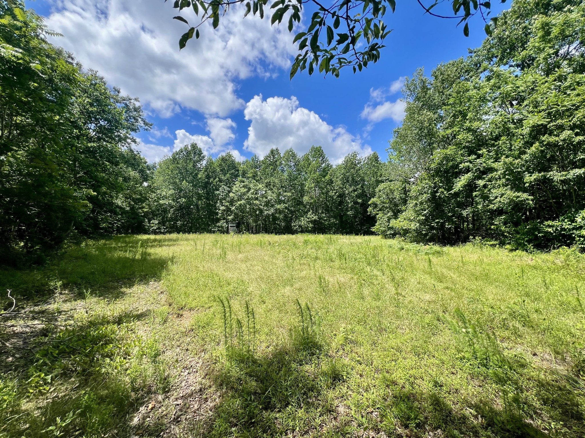 0 Powdermill Branch Rd Property Photo 8