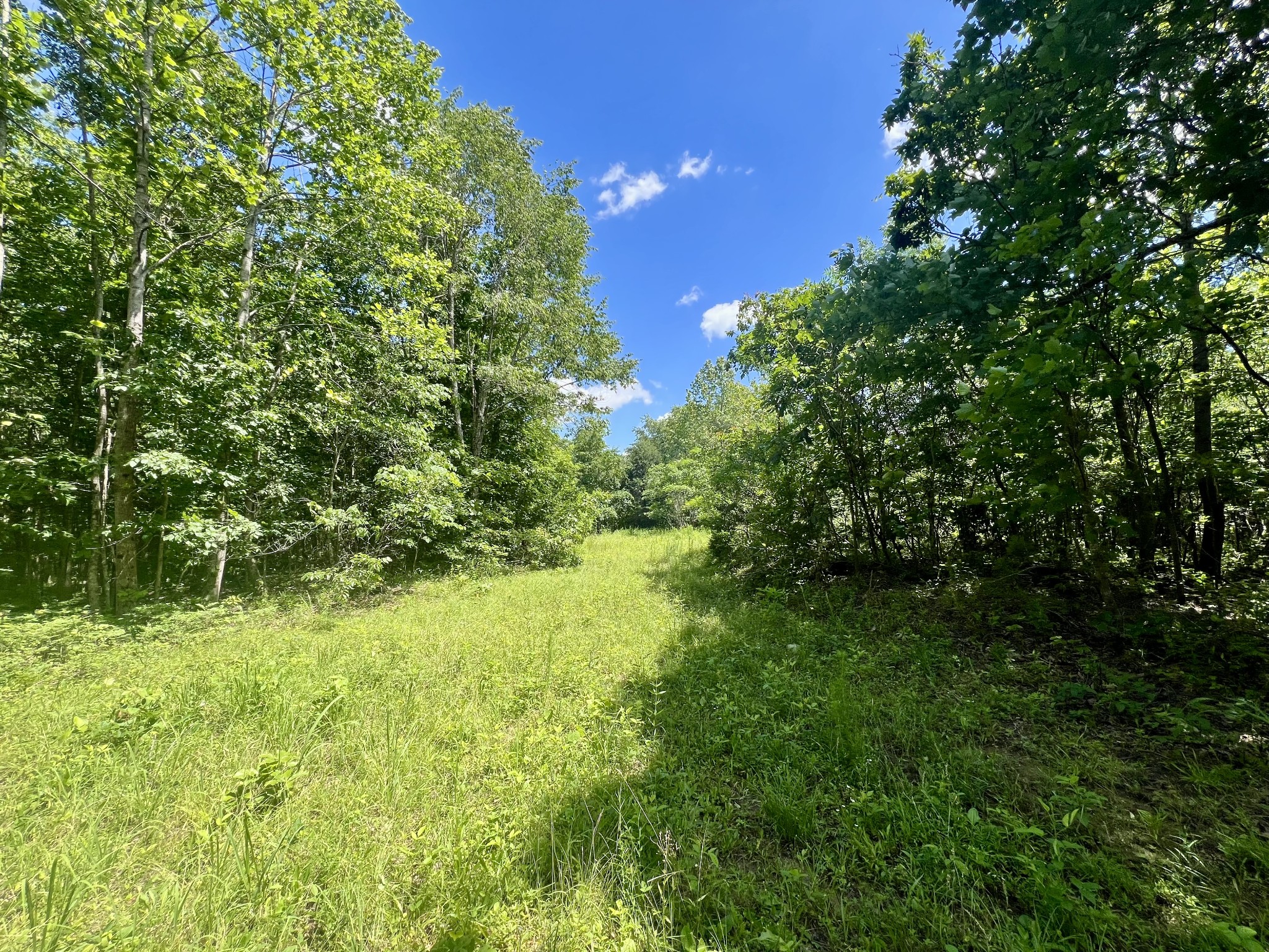 0 Powdermill Branch Rd Property Photo 10