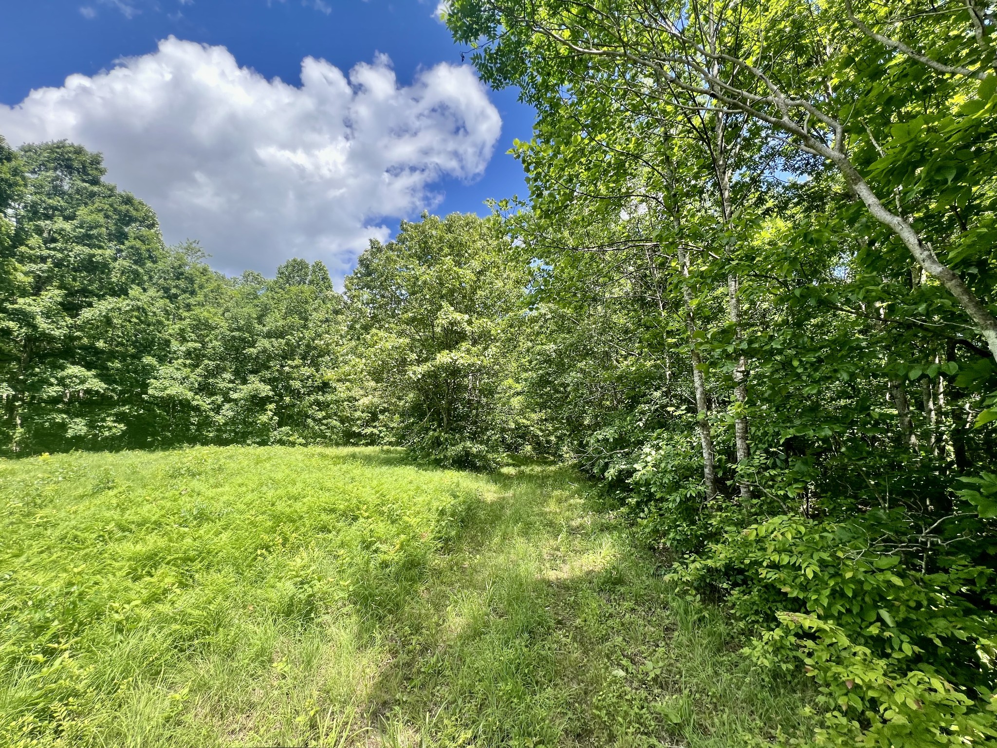 0 Powdermill Branch Rd Property Photo 14
