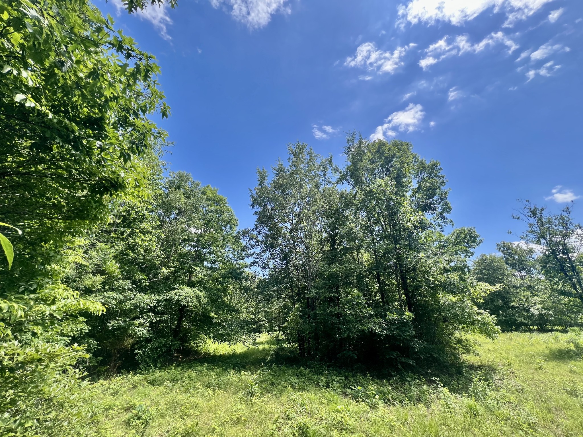 0 Powdermill Branch Rd Property Photo 15