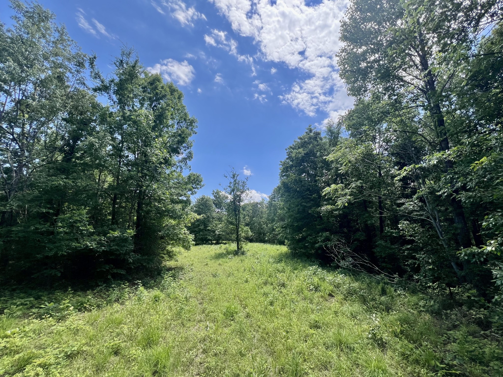 0 Powdermill Branch Rd Property Photo 16