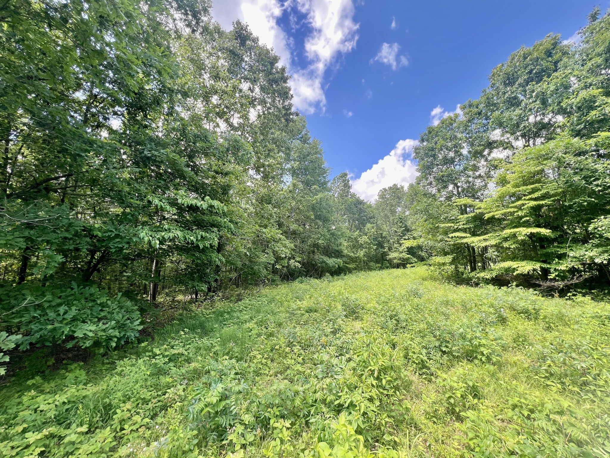 0 Powdermill Branch Rd Property Photo 17