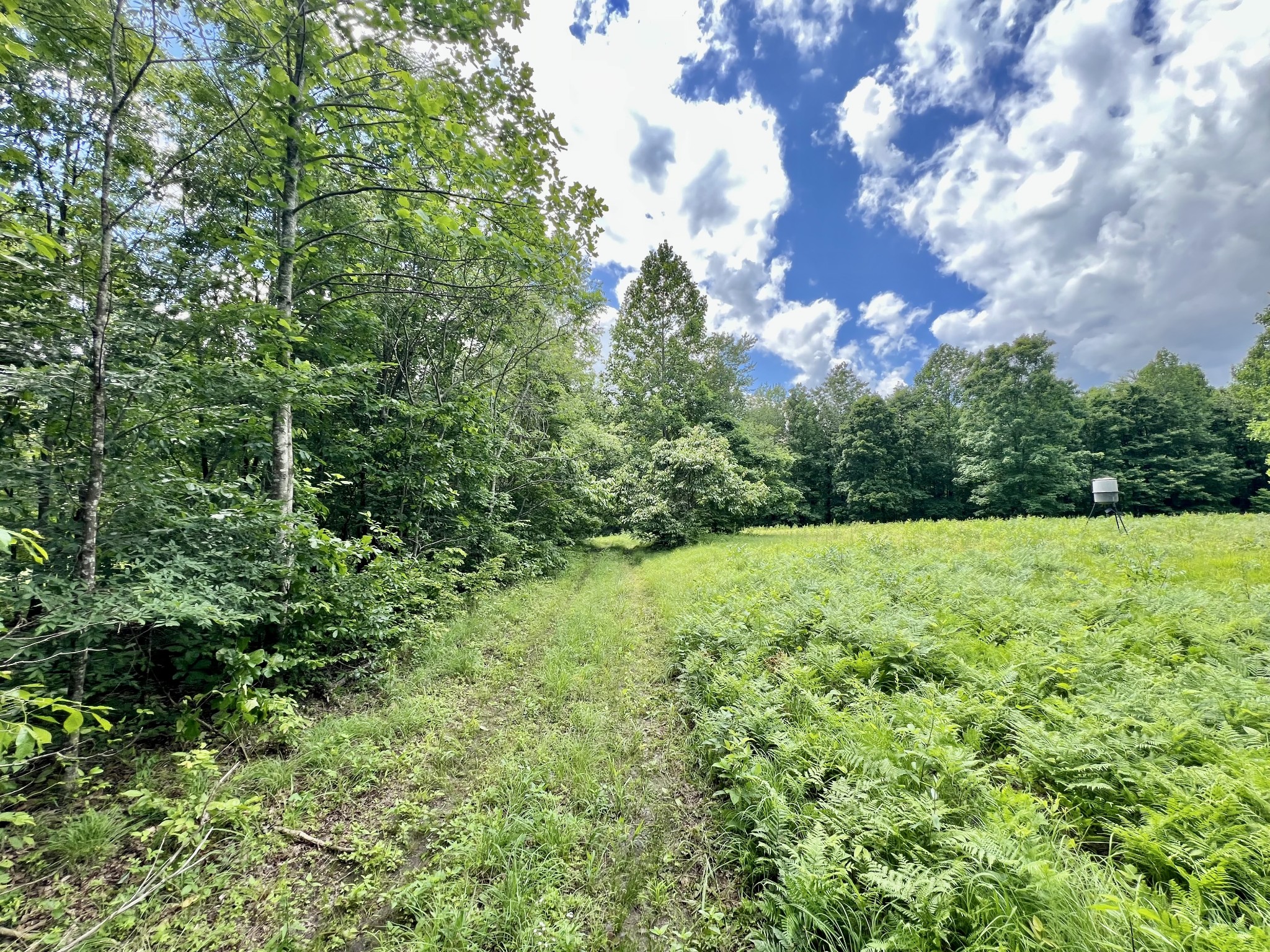 0 Powdermill Branch Rd Property Photo 20