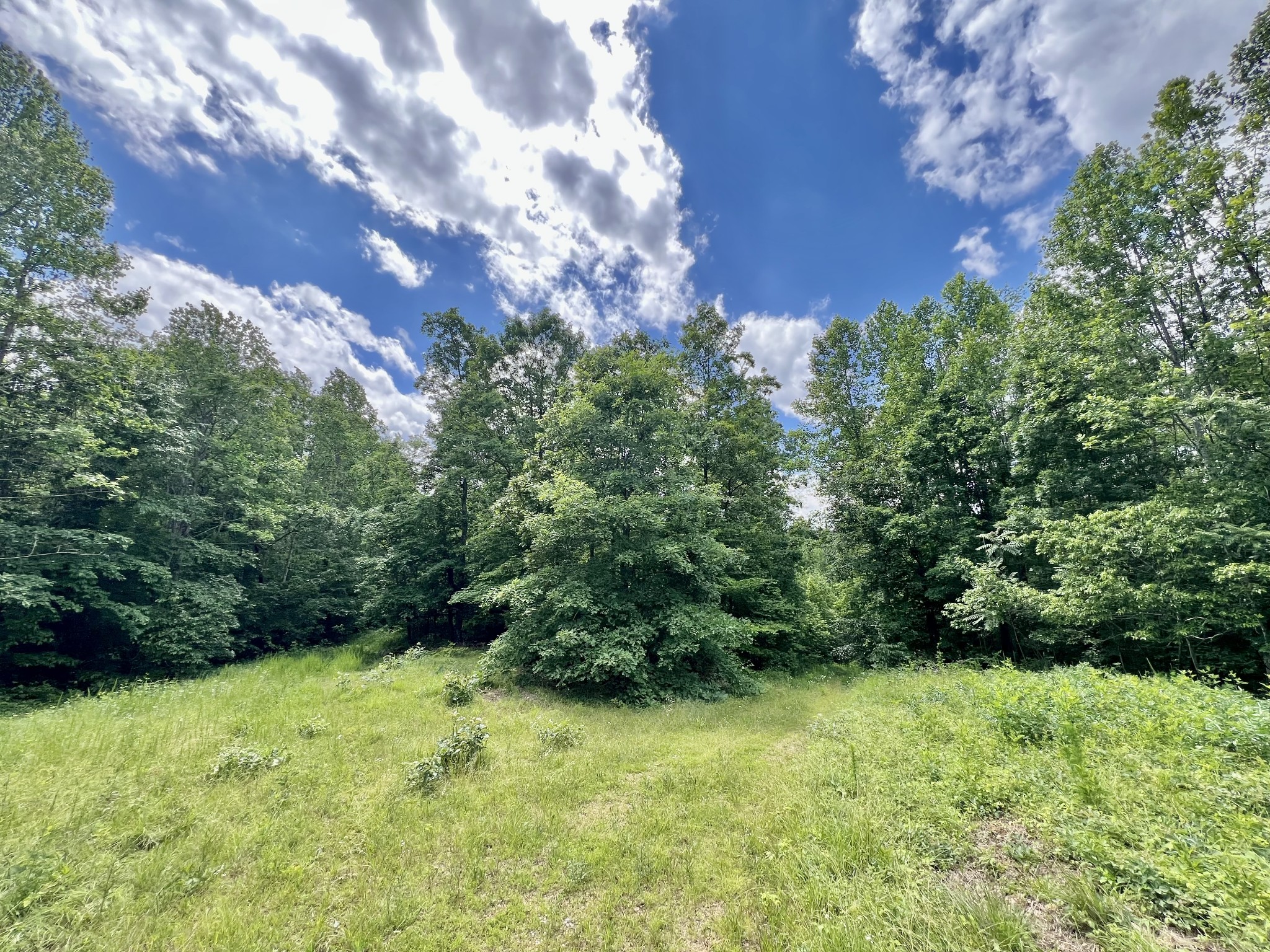 0 Powdermill Branch Rd Property Photo 22