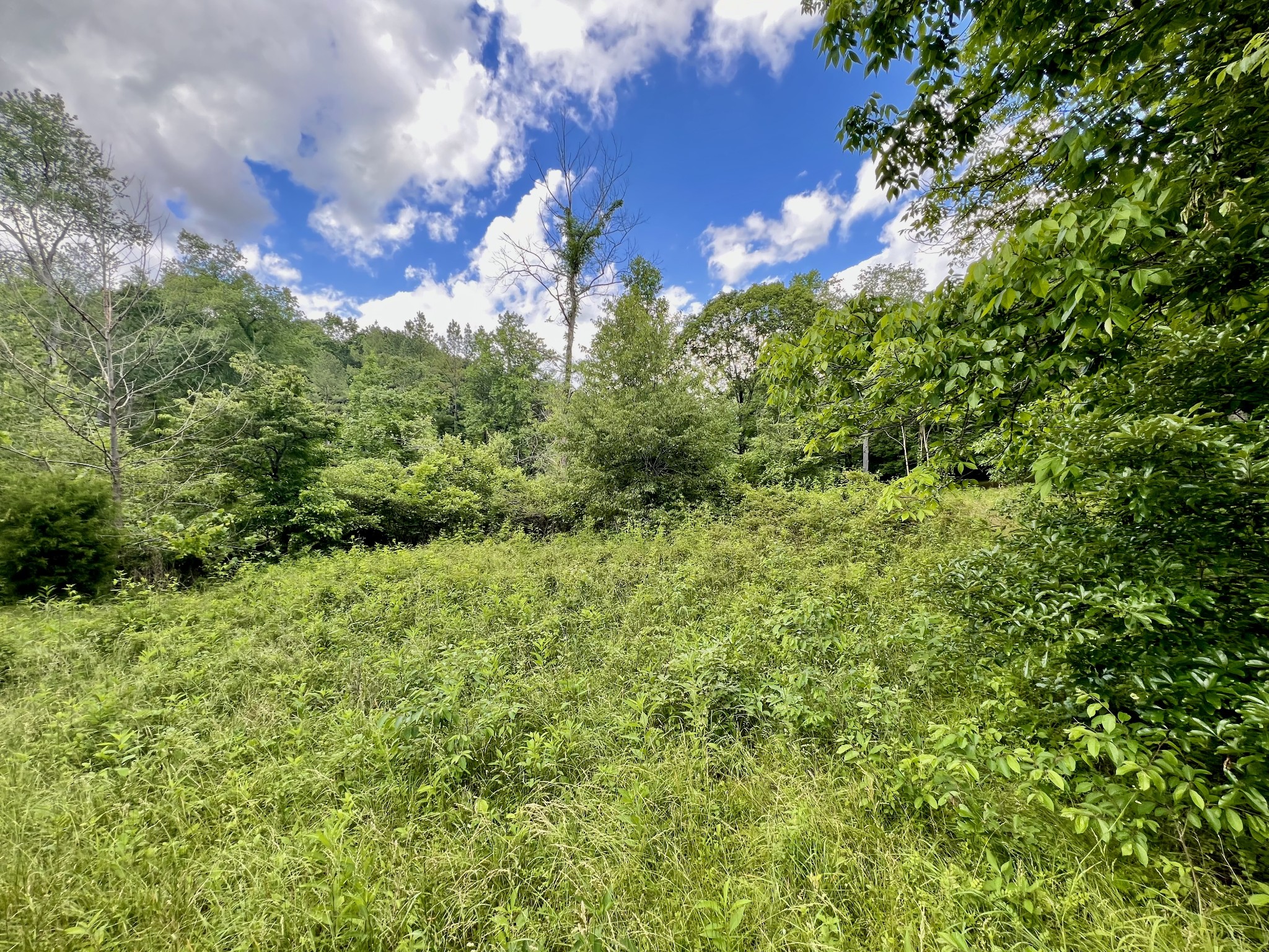 0 Powdermill Branch Rd Property Photo 30
