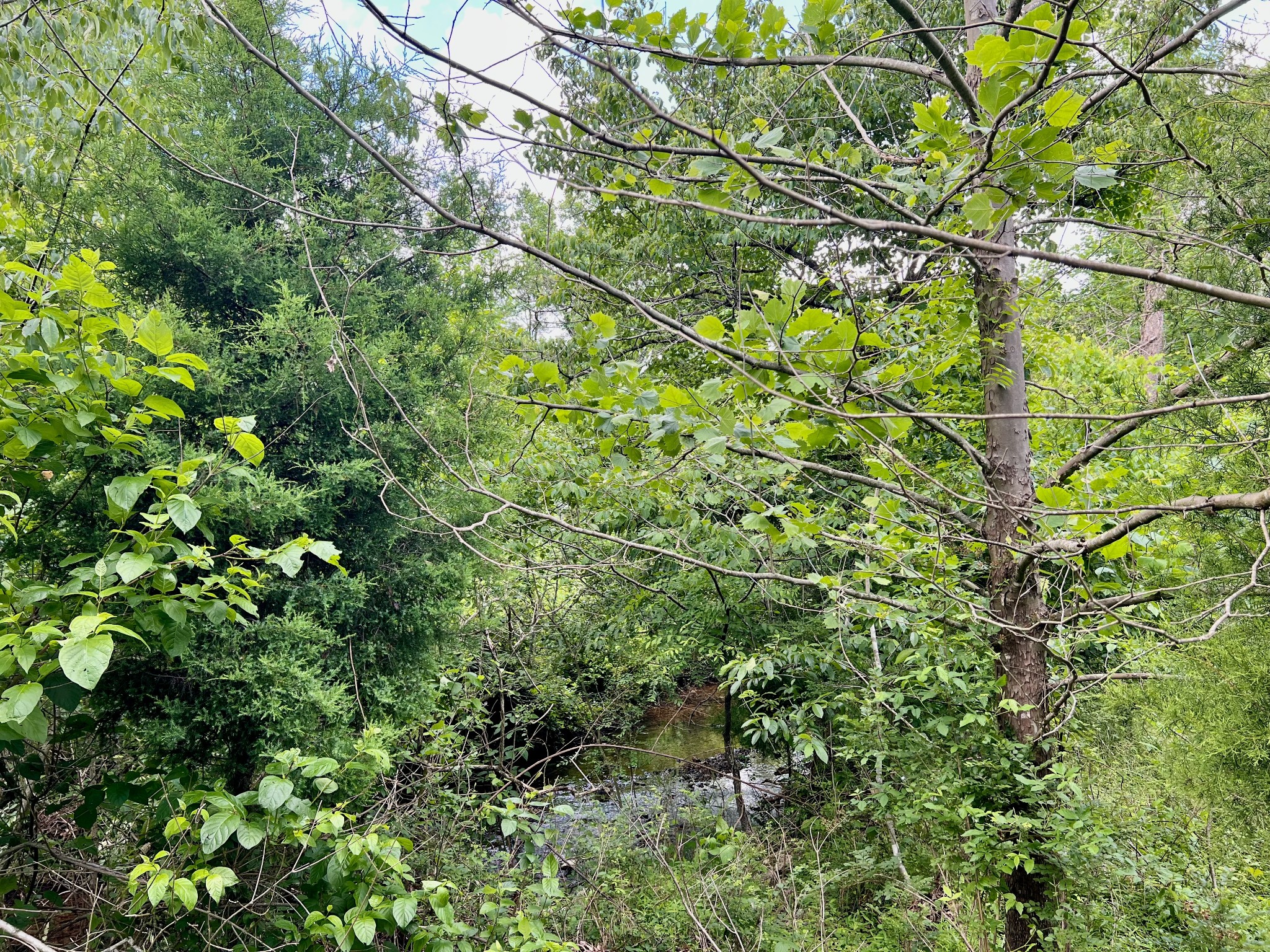 0 Powdermill Branch Rd Property Photo 31