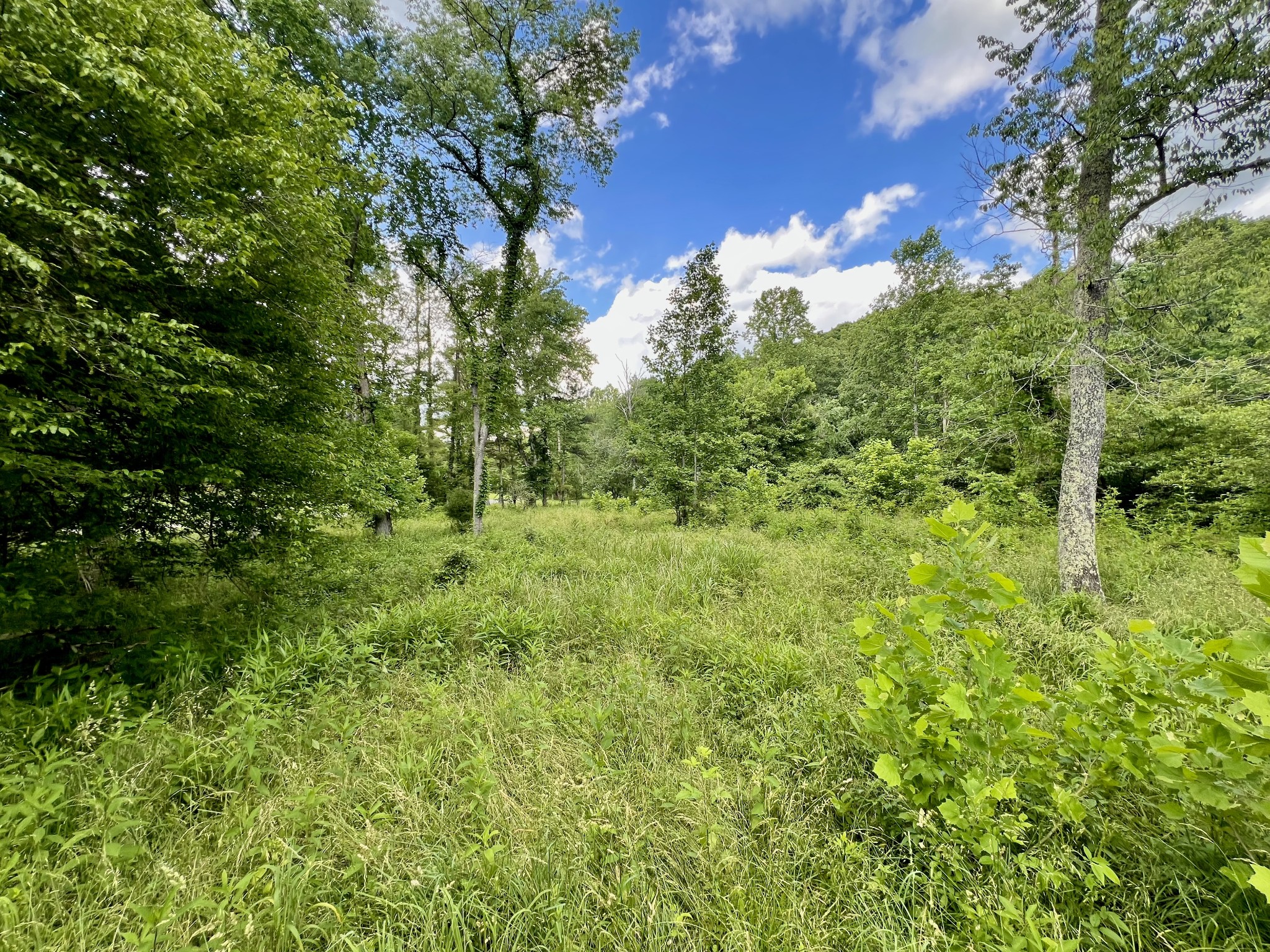 0 Powdermill Branch Rd Property Photo 33