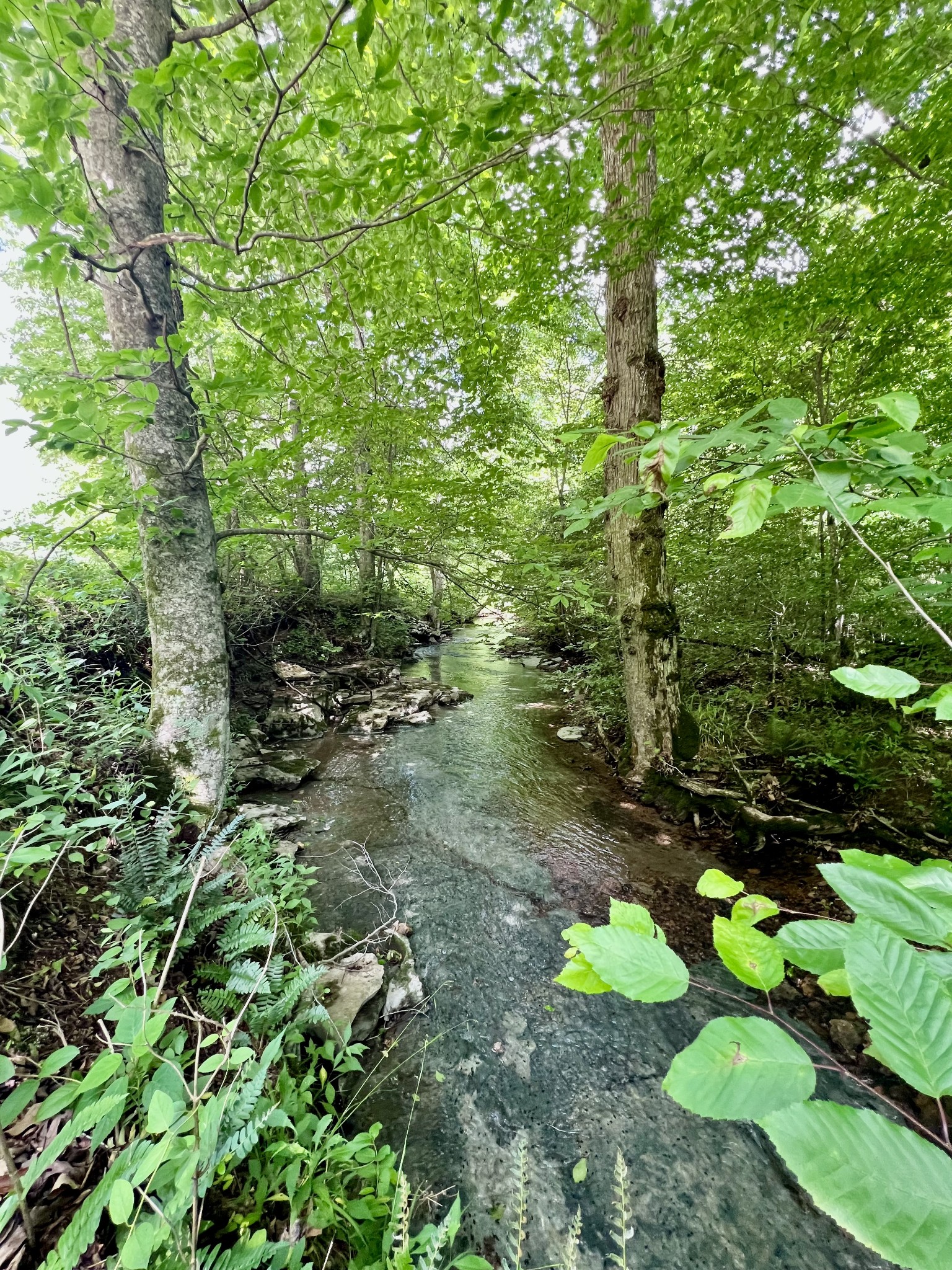 0 Powdermill Branch Rd Property Photo 40