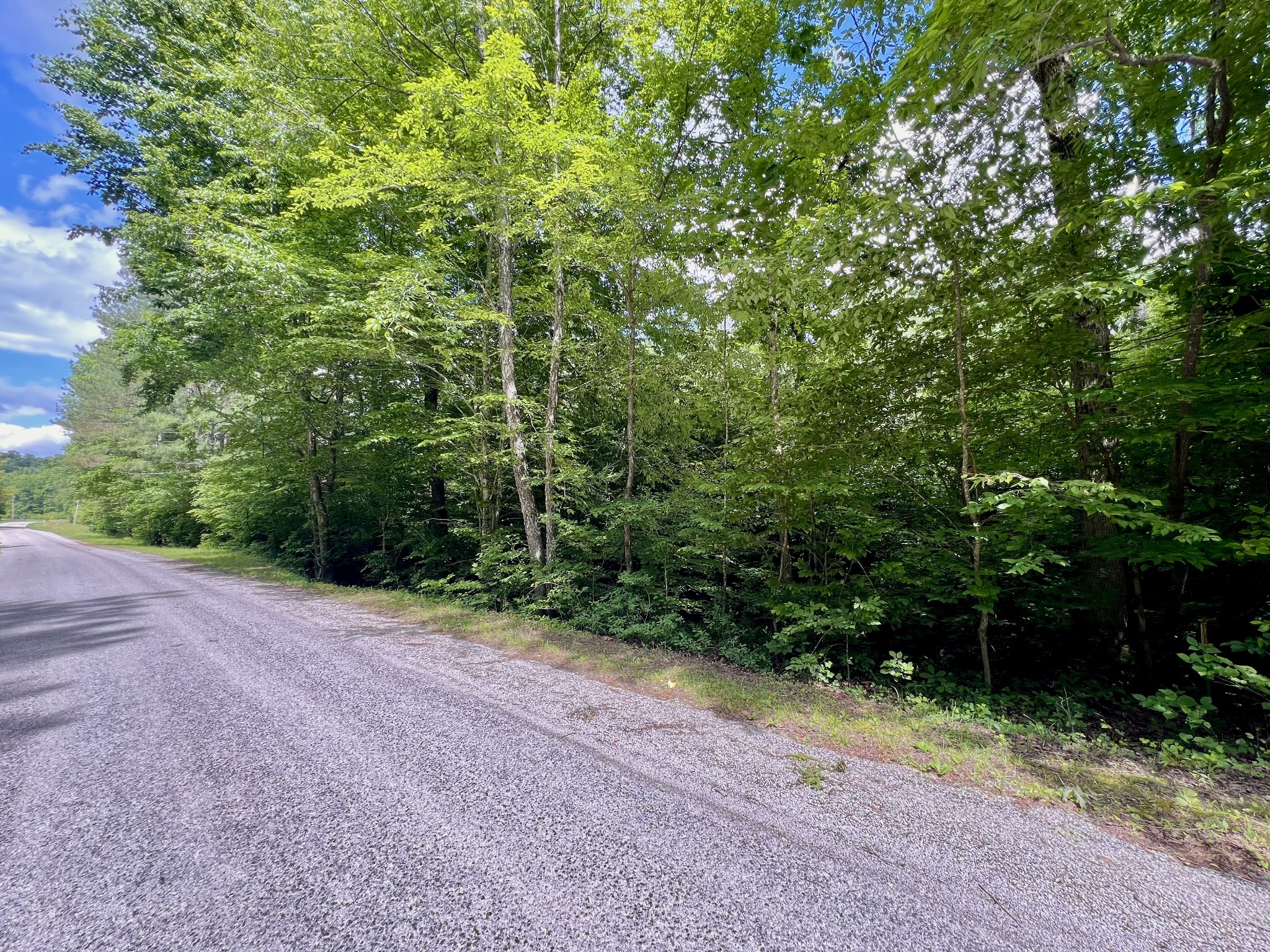 0 Powdermill Branch Rd Property Photo 42