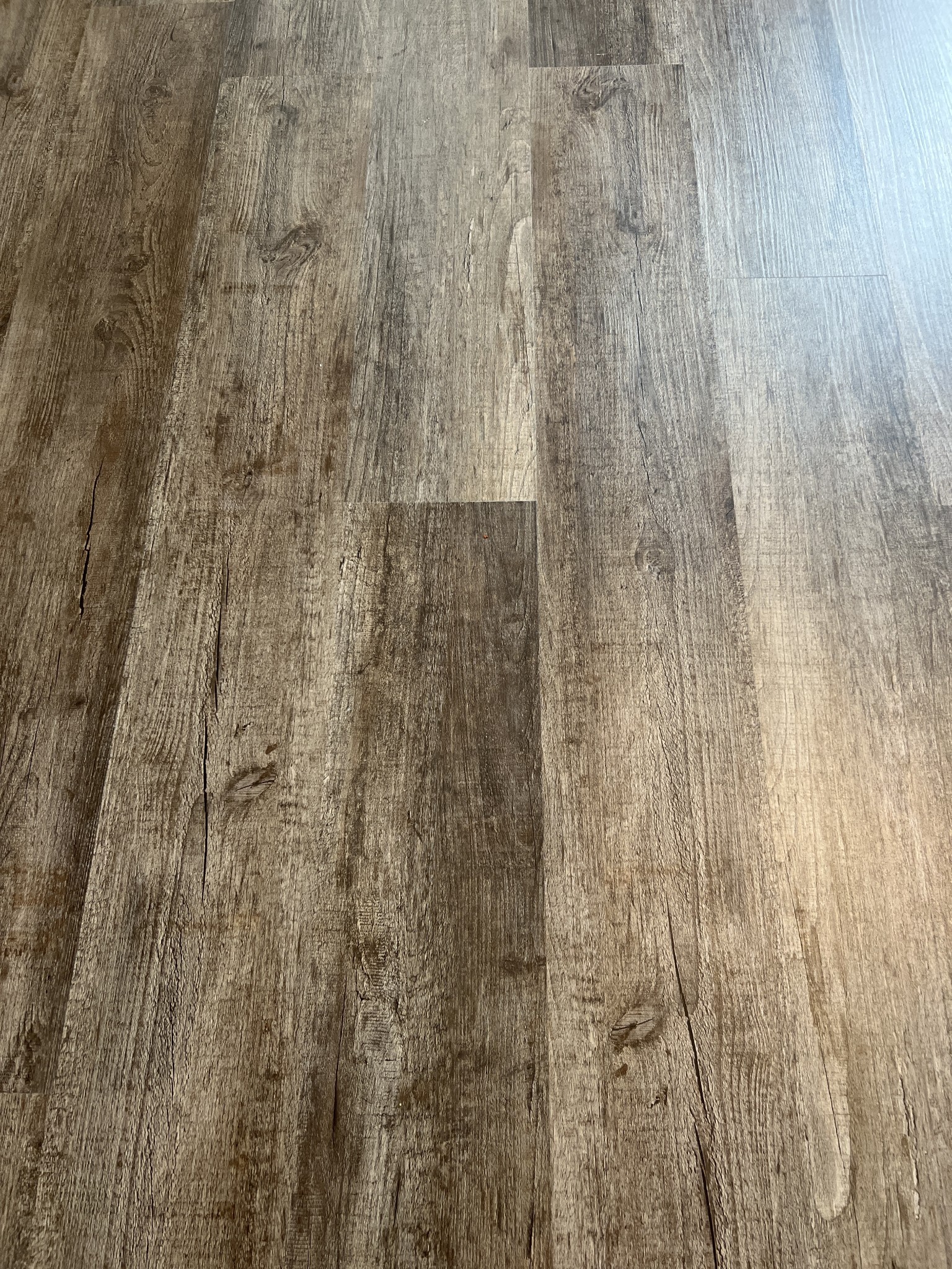 147 Timber Circle Property Photo 6